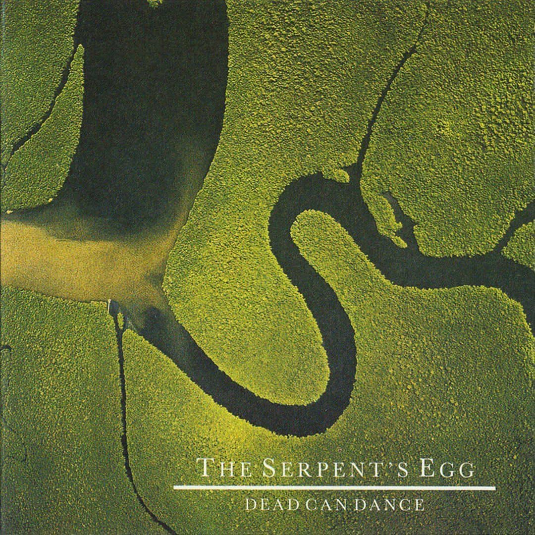 Front. The Serpent's Egg [LP].