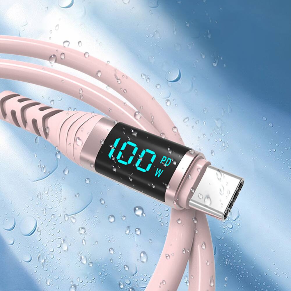 100 W PD