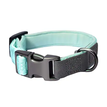 Front. PET MARVEL - PET MARVEL Heavy Duty Solid Dog Collar Neoprene Padded 1 in Wide, Mint Green M - Mint Green.