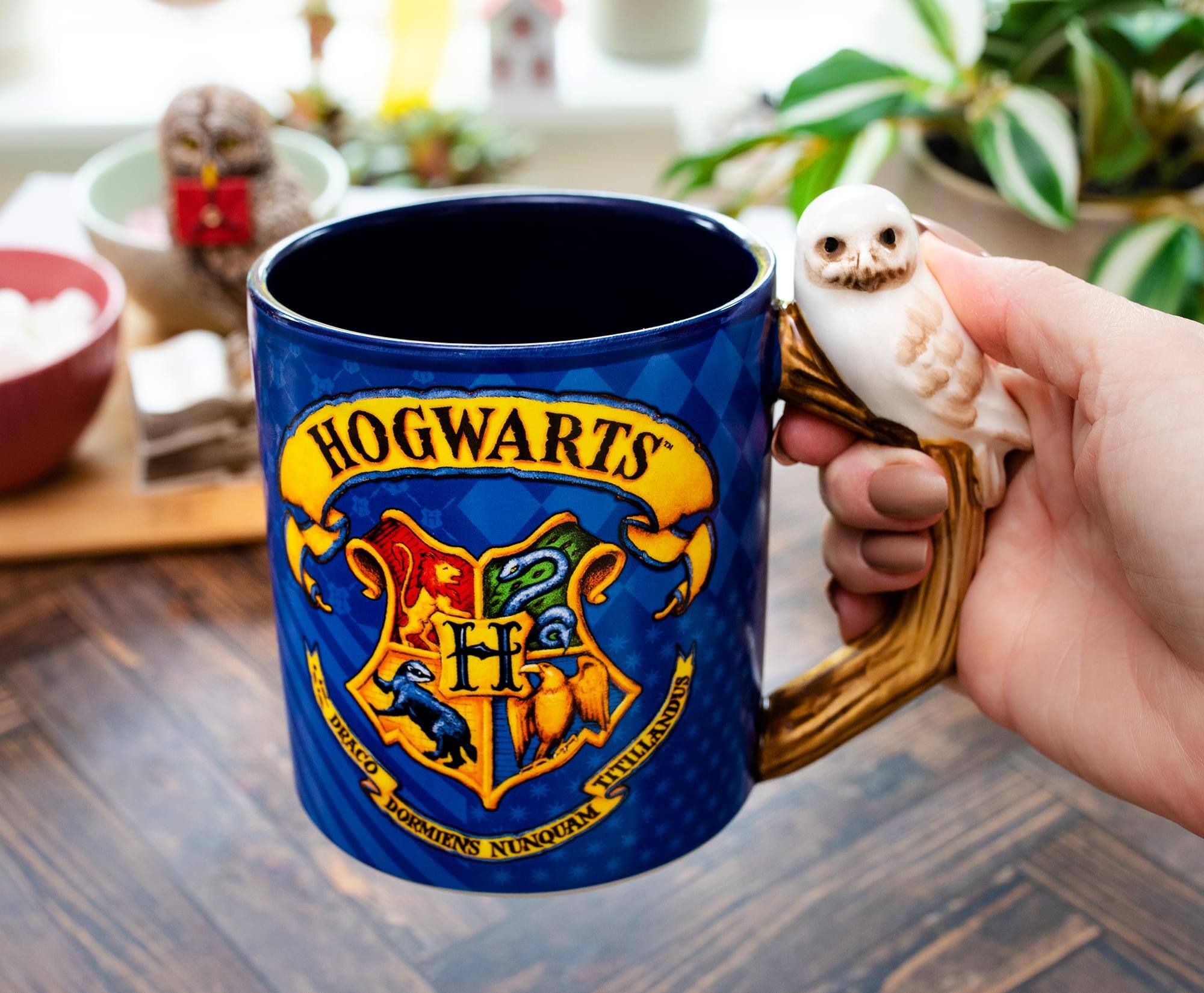 HOGWARTS  
DRACO 2 TITILLANDUS DORMIENS NUNQUAM