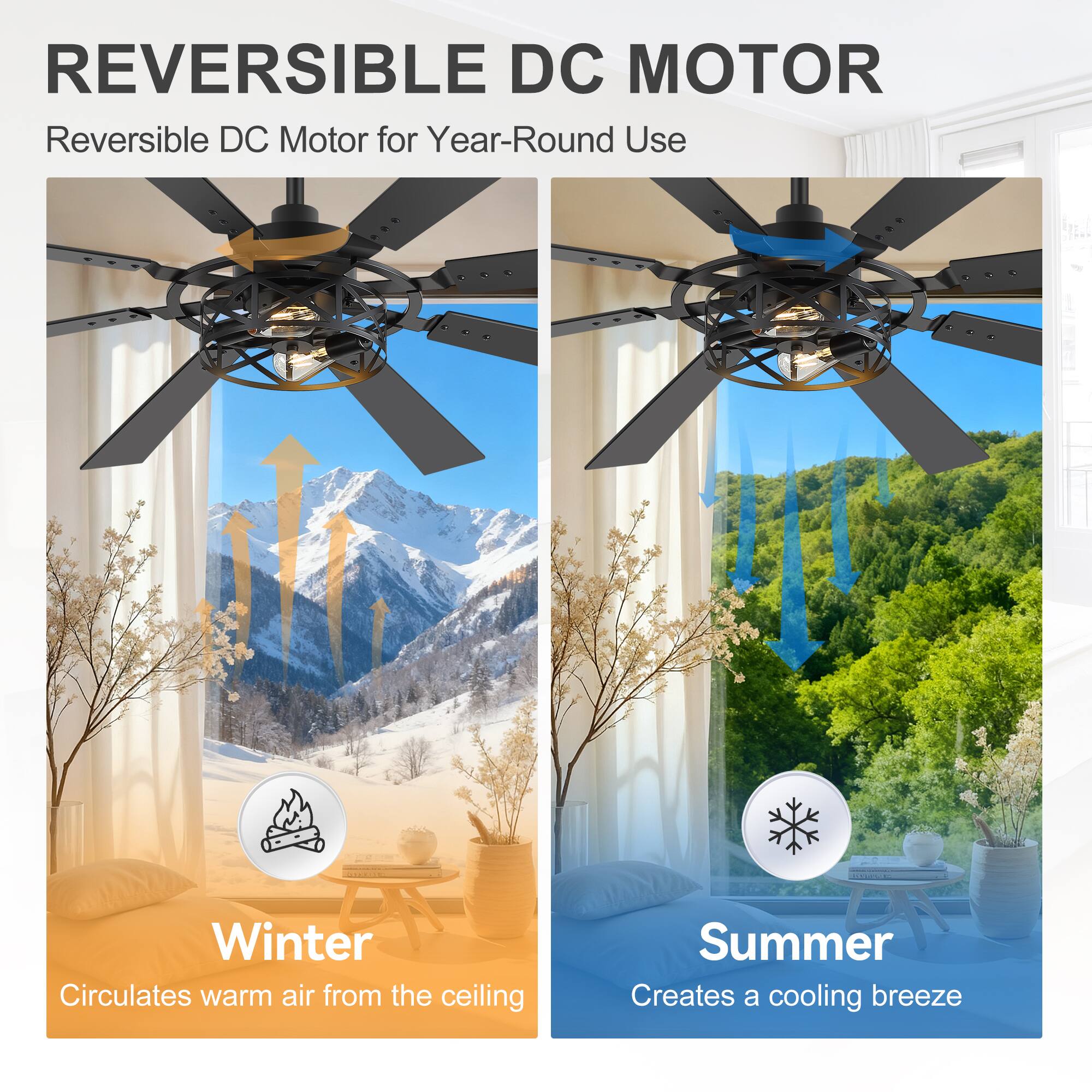 REVERSIBLE DC MOTOR  
Reversible DC Motor for Year-Round Use  
Winter: Circulates warm air from the ceiling  
Summer: Creates a cooling breeze