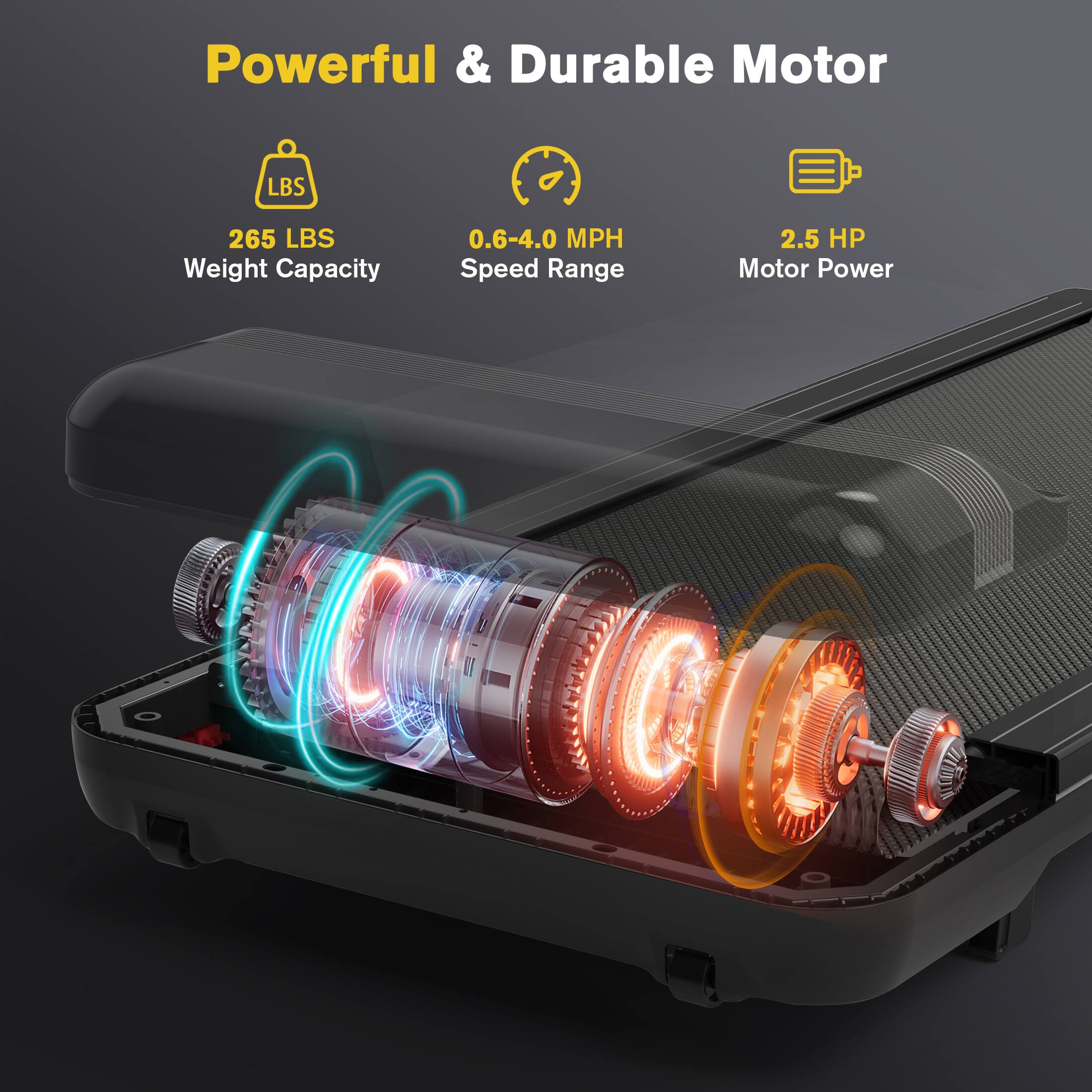 Powerful & Durable Motor

265 LBS Weight Capacity
0.6-4.0 MPH Speed Range
2.5 HP Motor Power