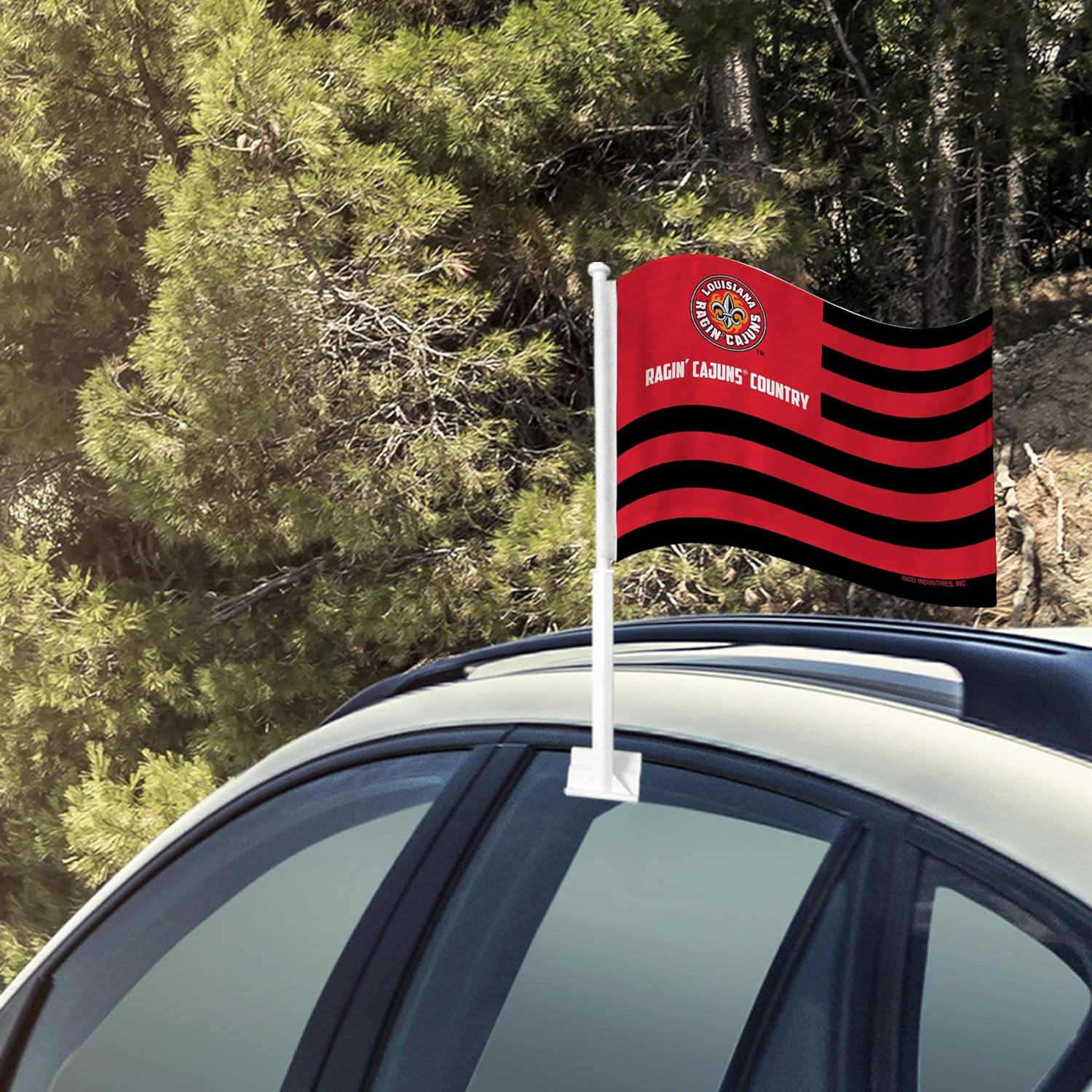 Louisiana  
Ragin' Cajuns Country