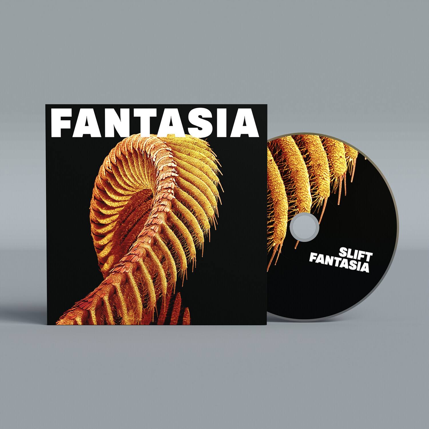 FANTASIA  
SLIFT FANTASIA