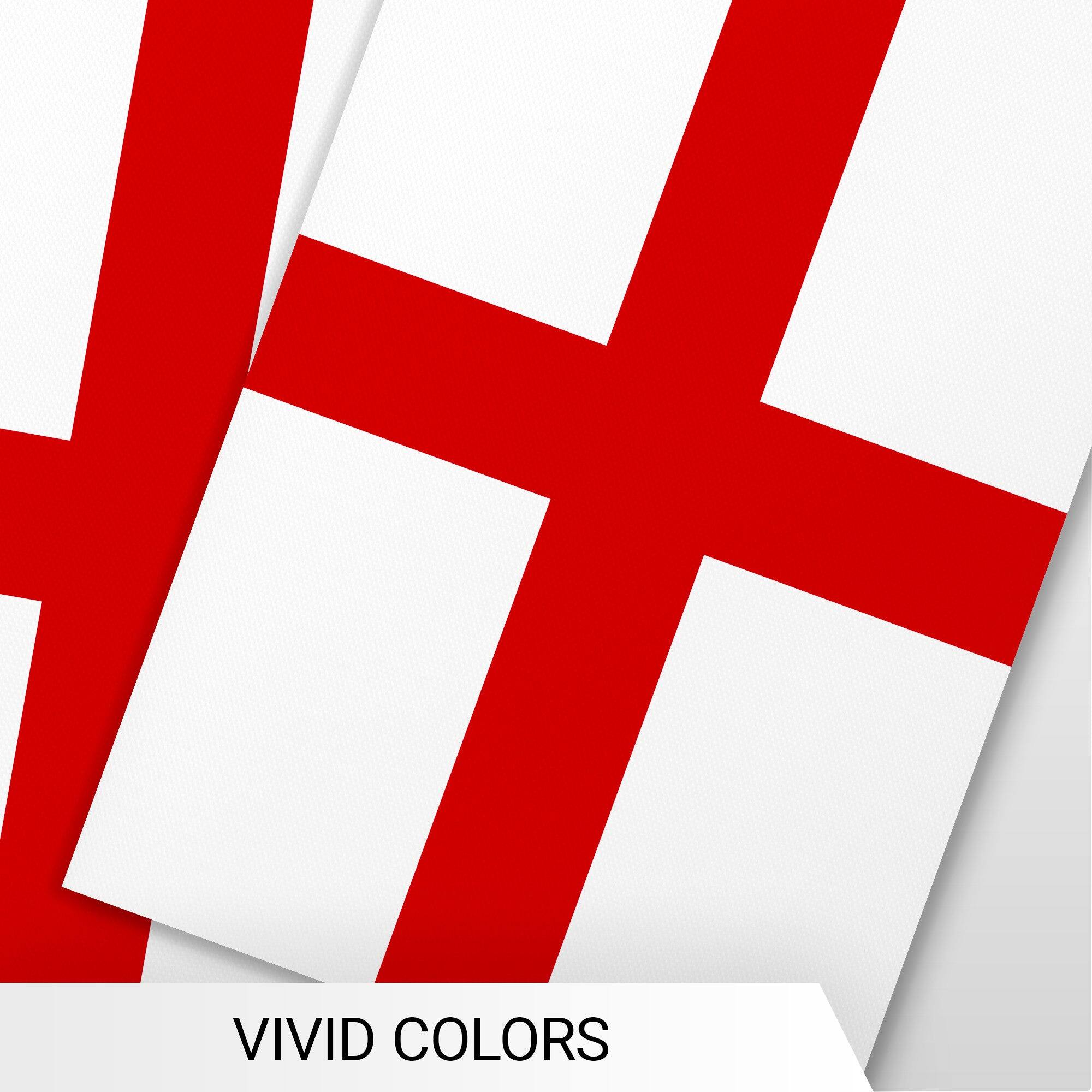 VIVID COLORS