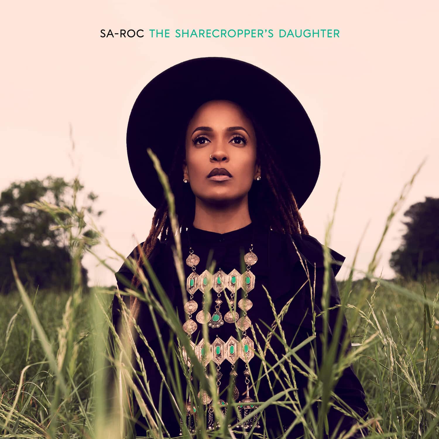 Sa-Roc - The Sharecropper's Daughter   - COMPACT DISCS [CD] price history on PriceWatchPro