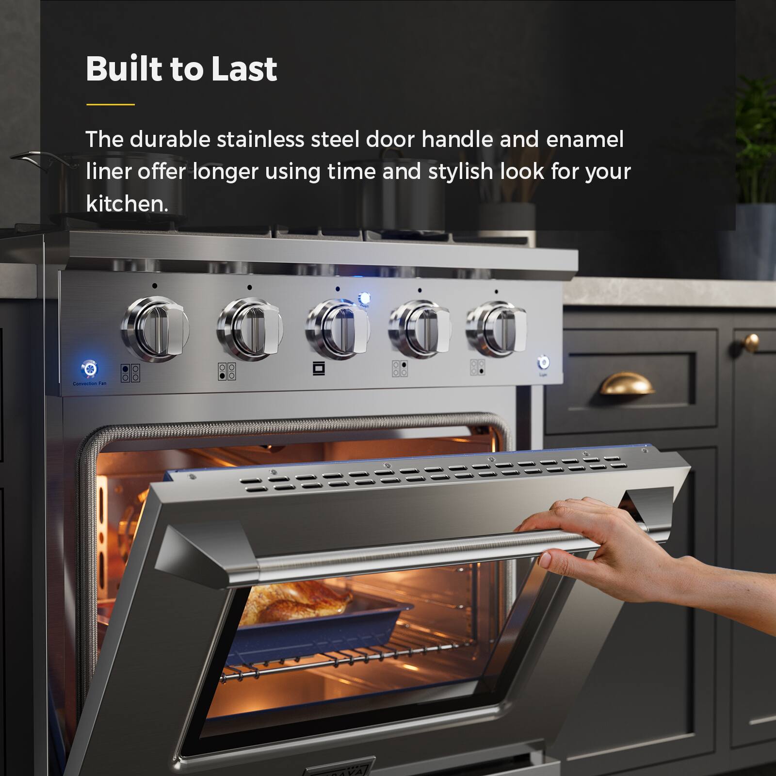 Built to Last

The durable stainless steel door handle and enamel liner offer longer using time and stylish look for your kitchen.