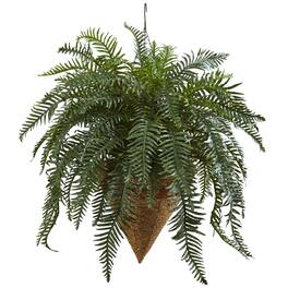 BreeBe - 33" Giant River Fern with Cone Hanging Basket - Green
