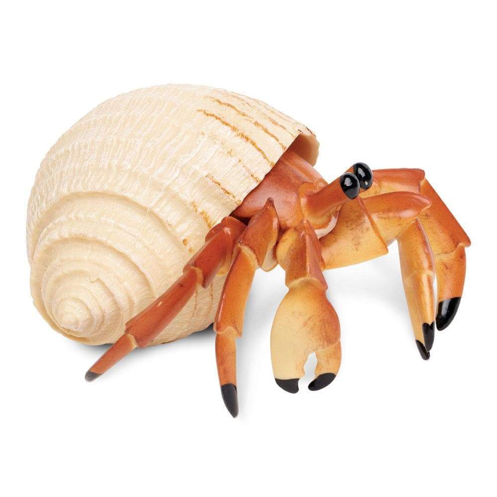 Angle. Safari Ltd. - Hermit Crab Toy Figurine.
