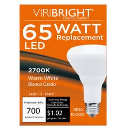 VIRIBRIGHT - BR30 LED Bulb, T20 850 Lumens UL+ES+T20, Warm White - 2700K