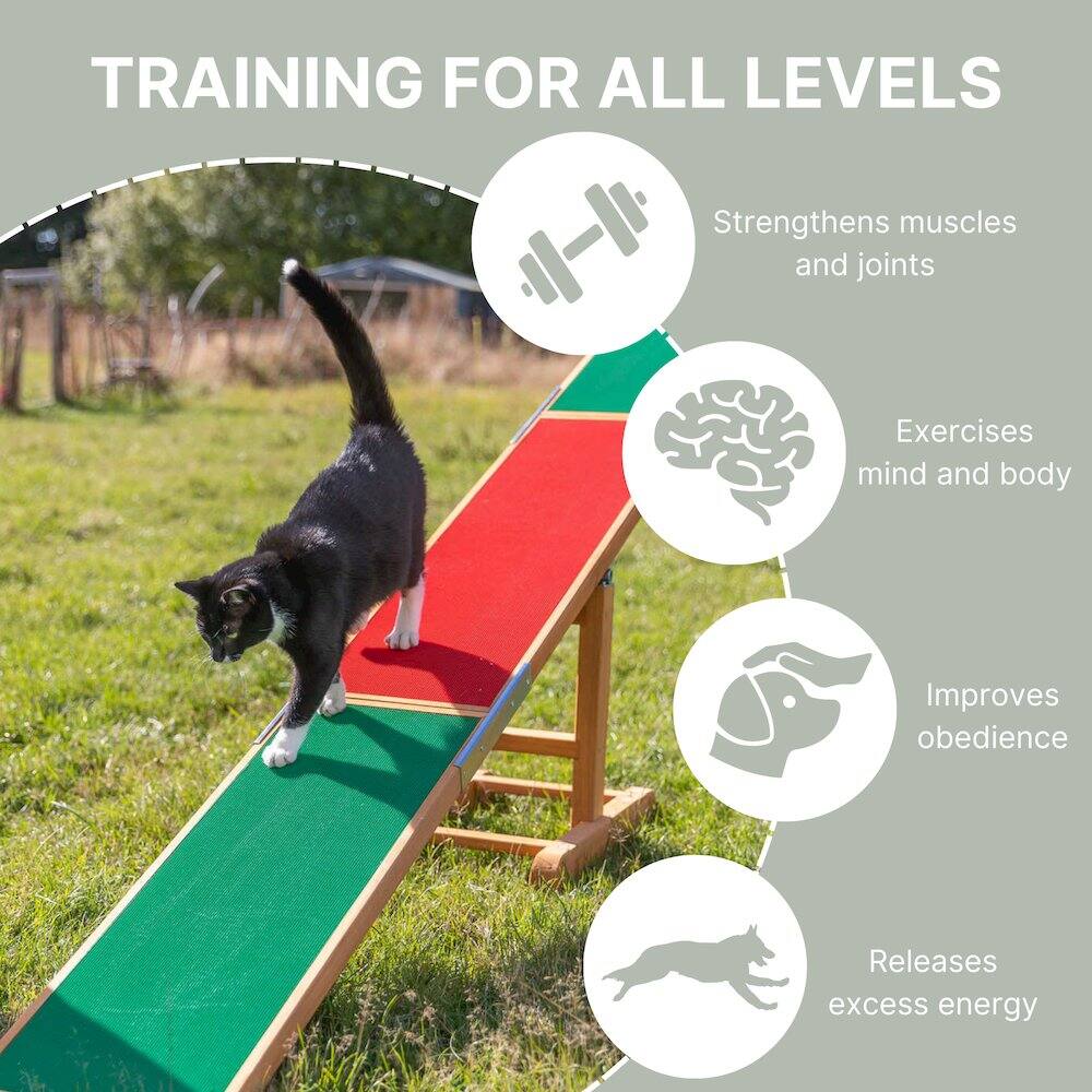 TRAINING FOR ALL LEVELS

- Strengthens muscles and joints
- Exercises mind and body
- Improves obedience
- Releases excess energy