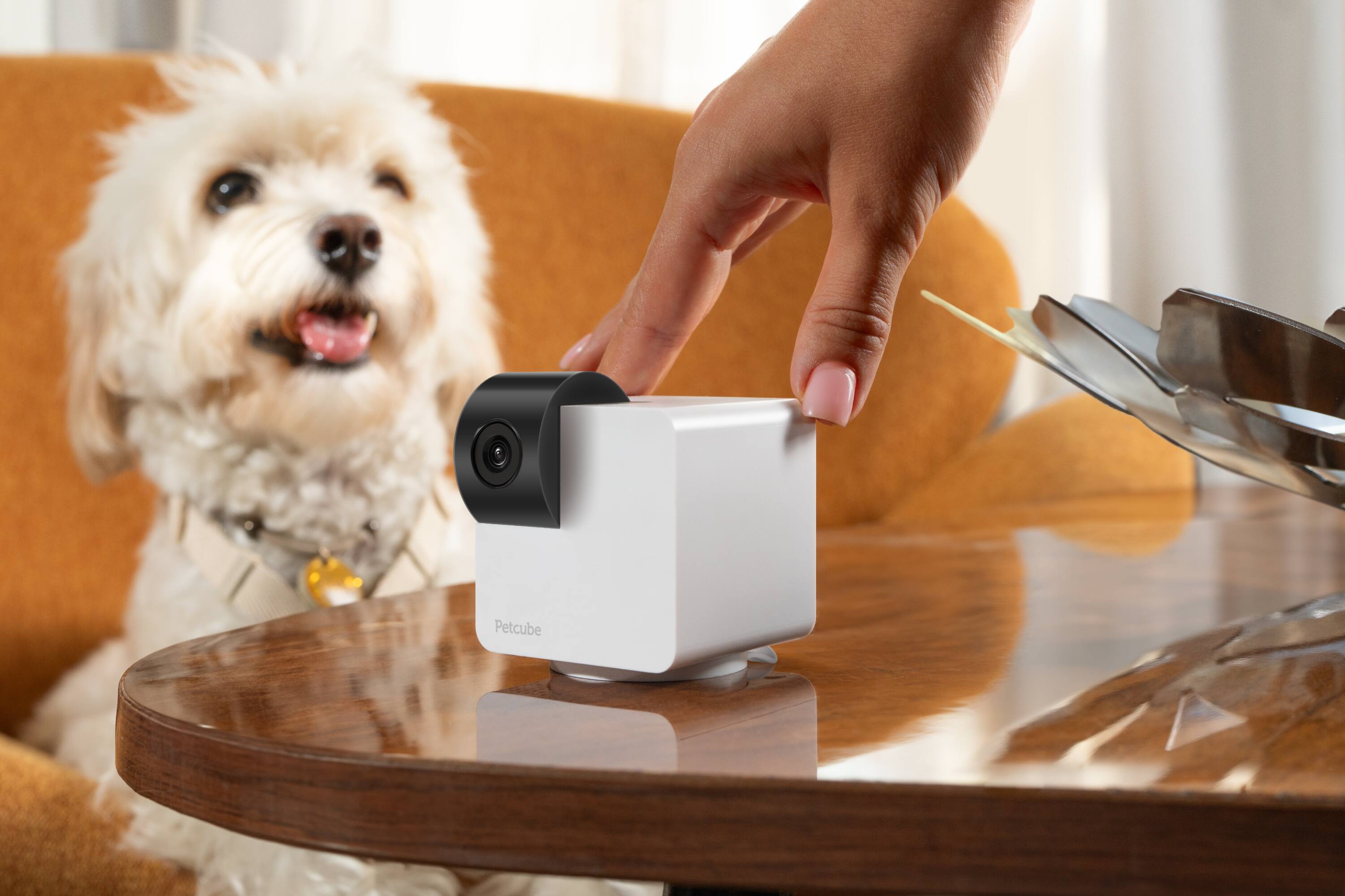 Alt View 2. Petcube - Cam 360 | Interactive WiFi Pet & Home Security Camera with 1080p HD, 360° View, Night Vision & Two-Way Audio - White.