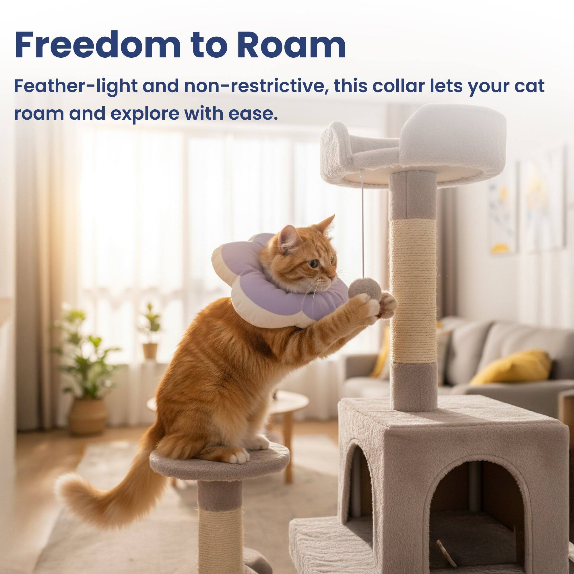 Freedom to Roam

Feather-light and non-restrictive, this collar lets your cat roam and explore with ease.