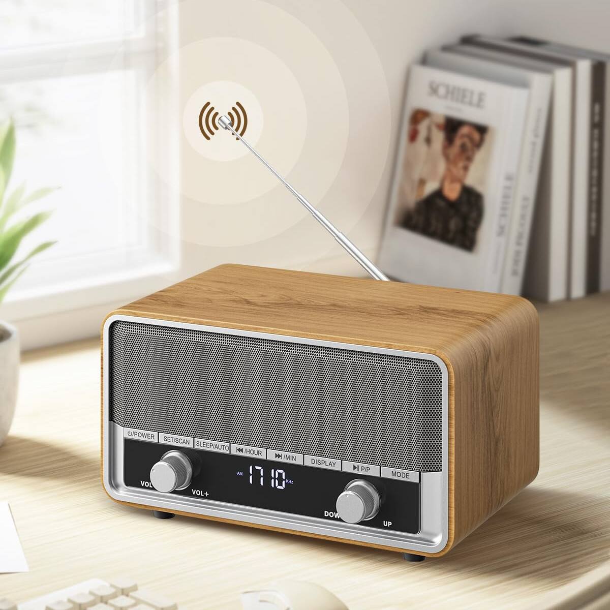 Sure, here is the corrected and grouped text from the image:

- POWER
- SET/SCAN
- SLEEP/AUTO
- HOUR
- MIN
- VOL
- VOL+
- DISPLAY
- PP
- MODE
- DOWN
- UP
- 1710
- AM
- MHz