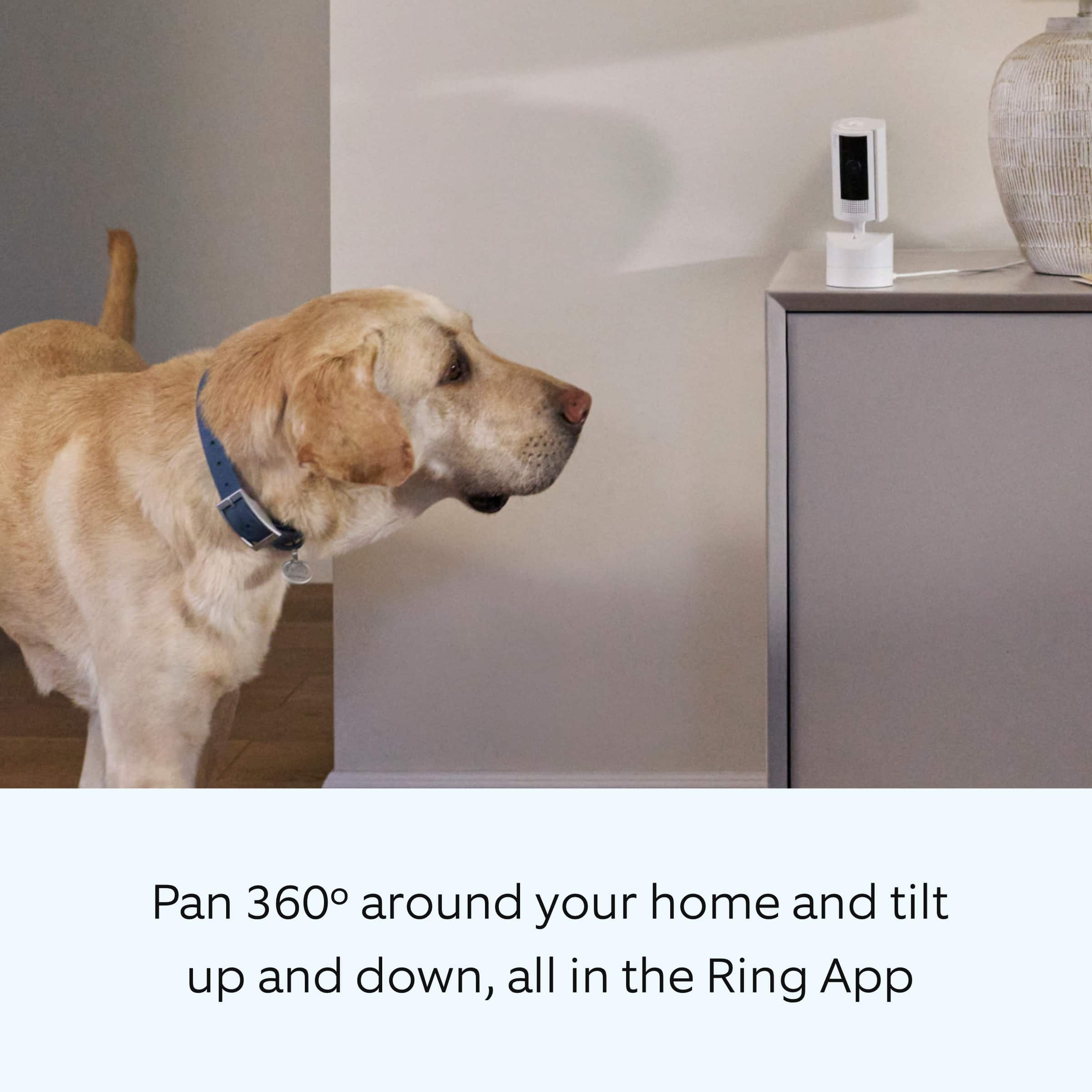 Pan 360 around your home and tilt up and down, all in the Ring App.