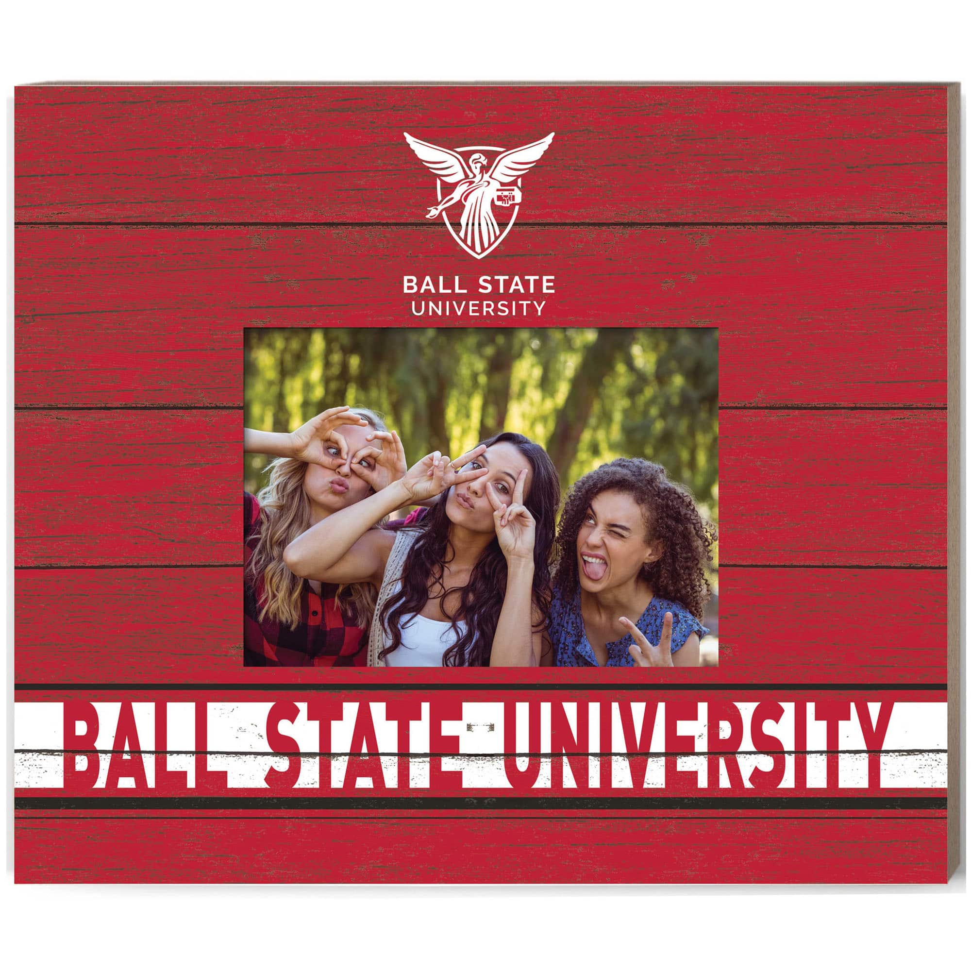 "Jardine - Ball State Cardinals 11"" x 13"" Team Spirit Scholastic Picture Frame - Red" price history on PriceWatchPro
