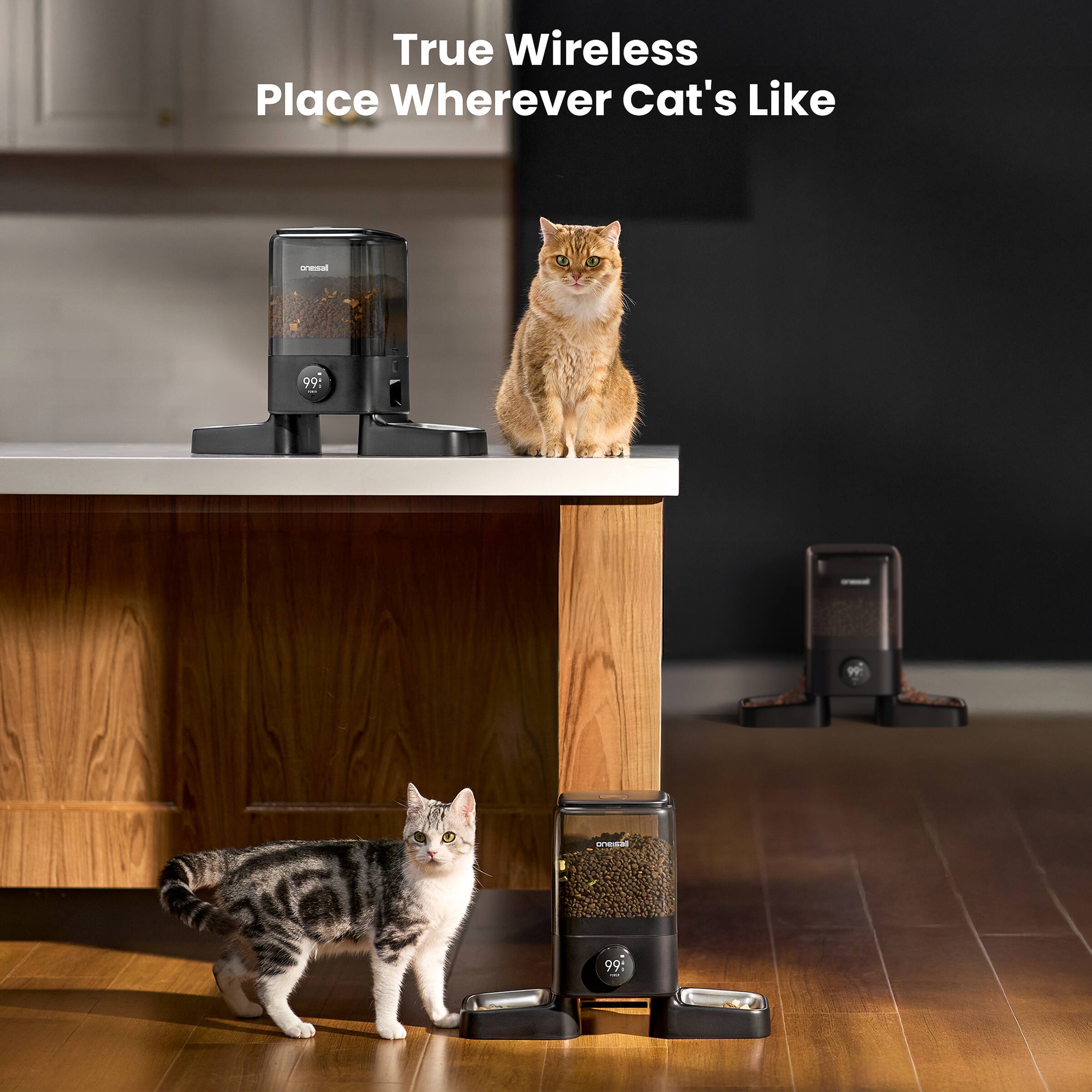 True Wireless Place Wherever Cat's Like