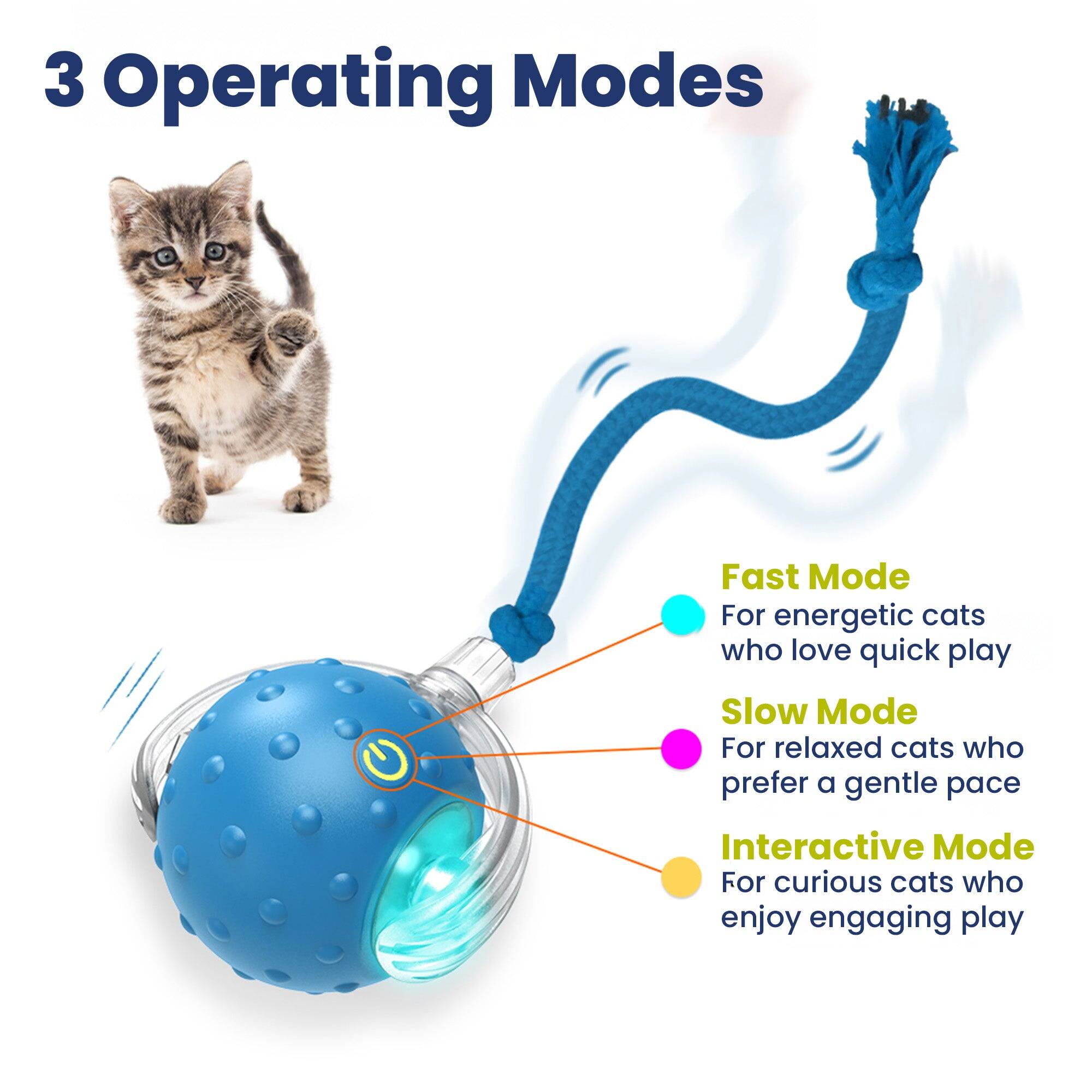 3 Operating Modes

Fast Mode
For energetic cats who love quick play

Slow Mode
For relaxed cats who prefer a gentle pace

Interactive Mode
For curious cats who enjoy engaging play