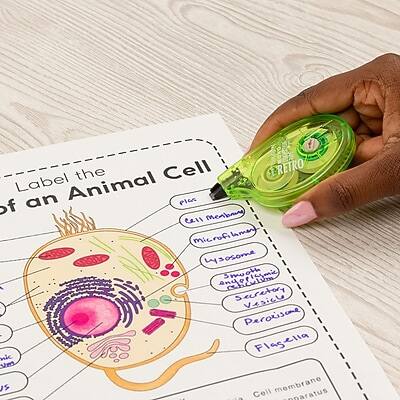 media item thumbnail