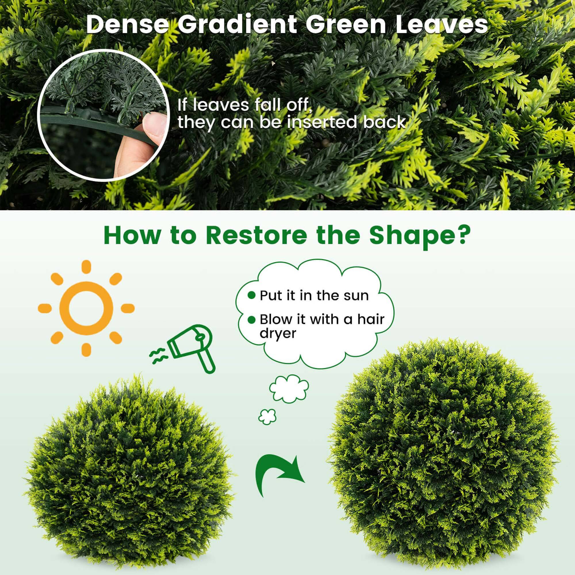 Dense Gradient Green Leaves  
If leaves fall off, they can be inserted back  

How to Restore the Shape?  
- Put it in the sun  
- Blow it with a hair dryer