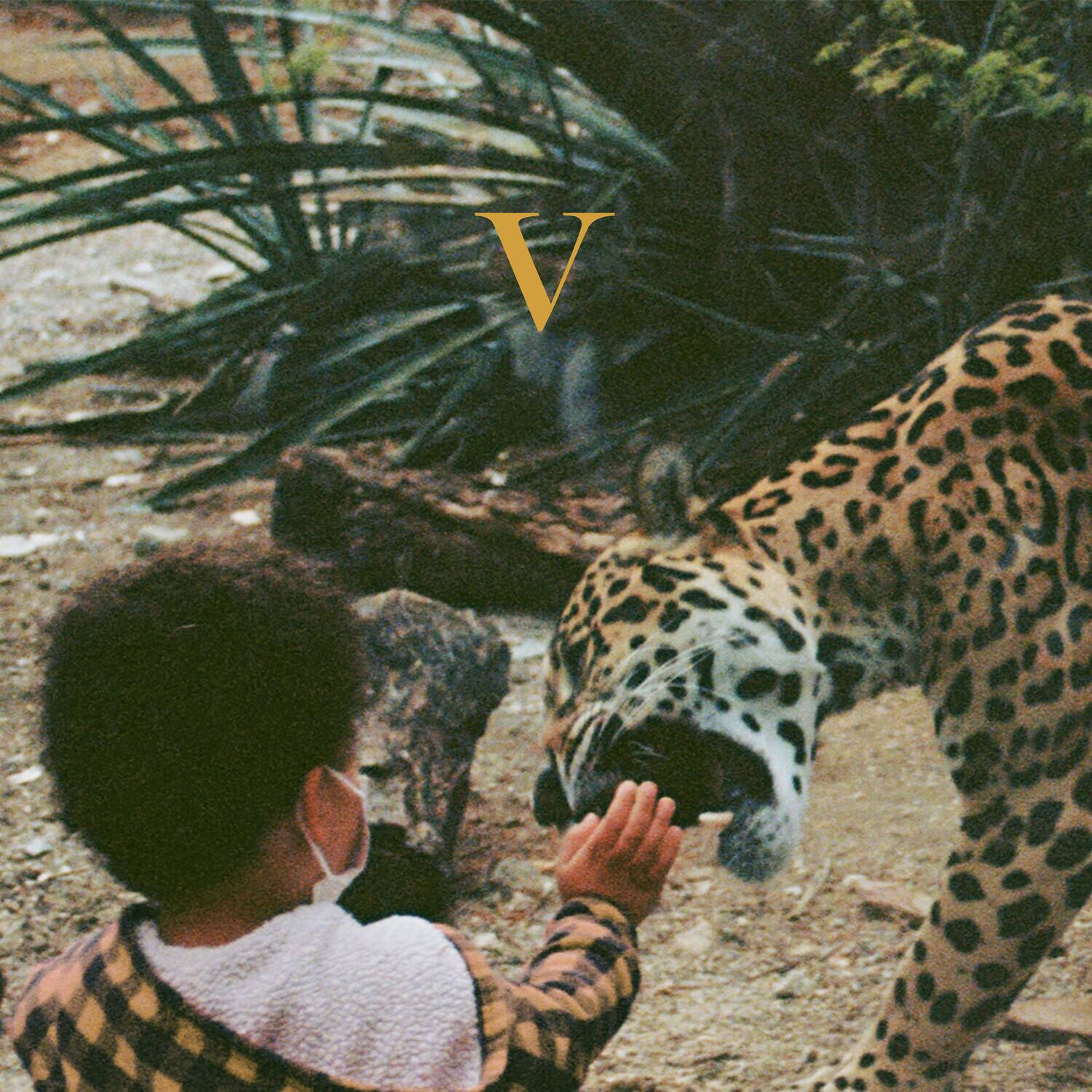 Unknown Mortal Orchestra - V  - COMPACT DISCS