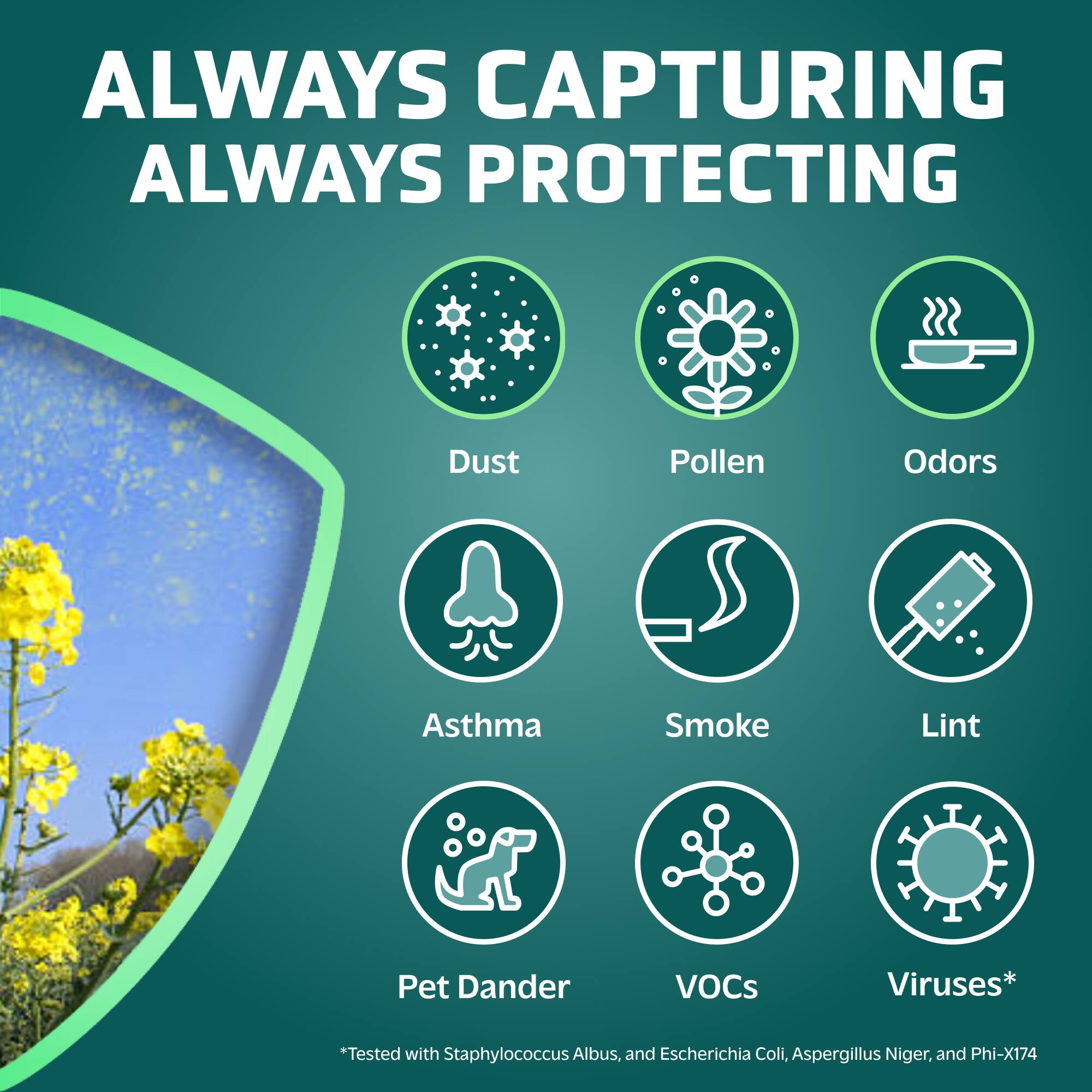 ALWAYS CAPTURING ALWAYS PROTECTING Dust Pollen Odors Asthma Smoke Lint Pet Dander VOCs Viruses* *Tested with Staphylococcus Albus, and Escherichia Coli, Aspergillus Niger, and Phi-X174