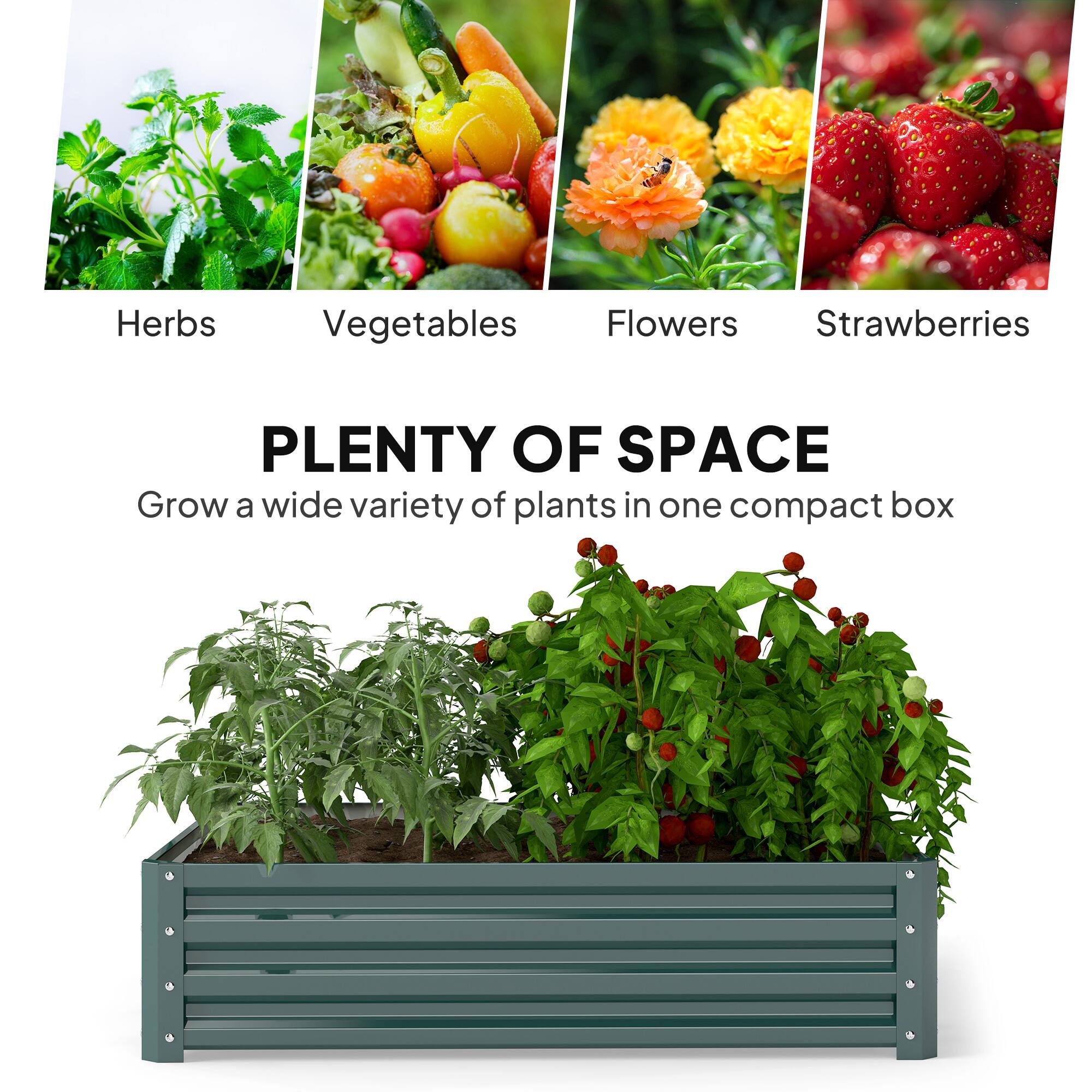 Herbs  
Vegetables  
Flowers  
Strawberries  

PLENTY OF SPACE  
Grow a wide variety of plants in one compact box