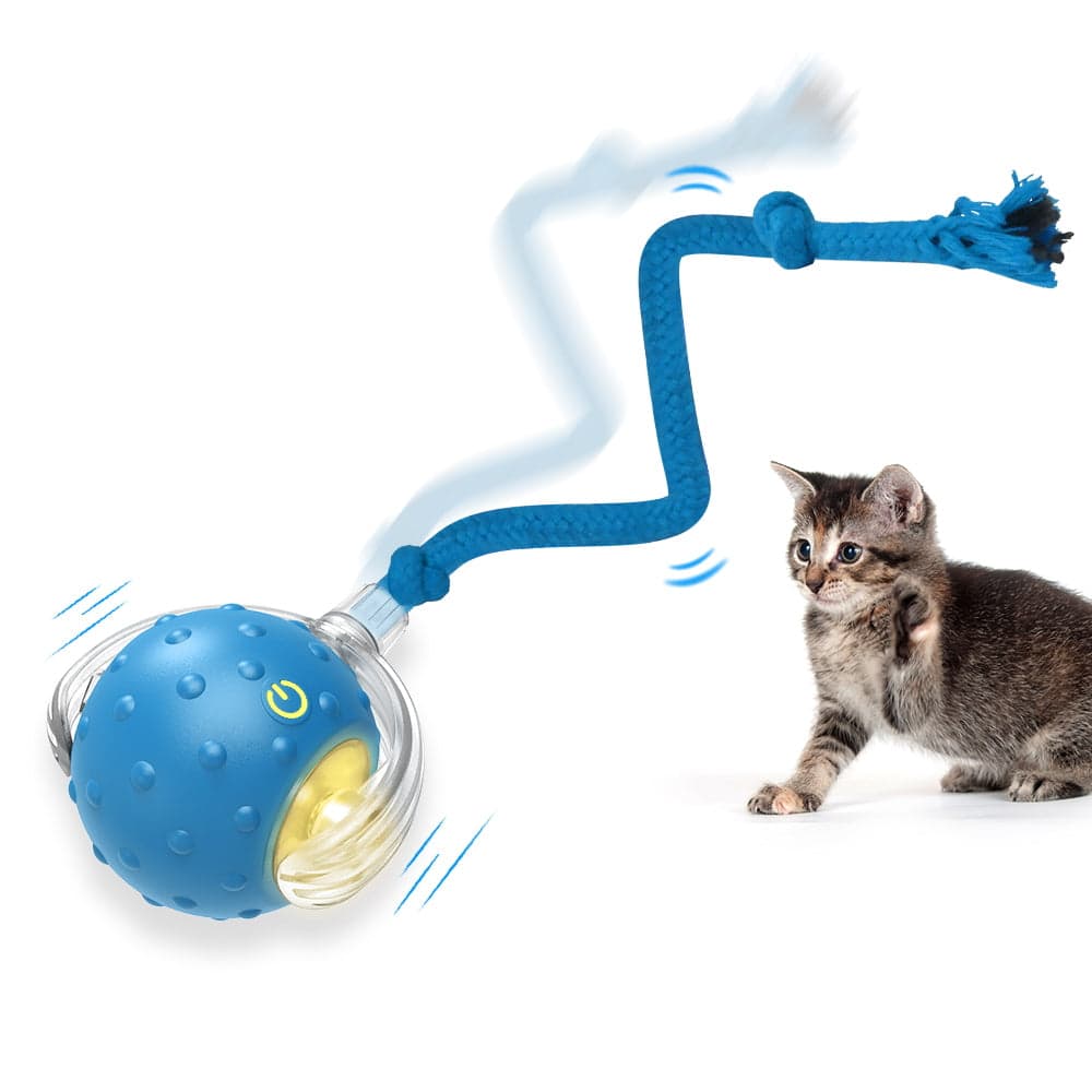 PawsPik - Chirp & Chase Motion Activated Cat Ball with LED Lights - Blue