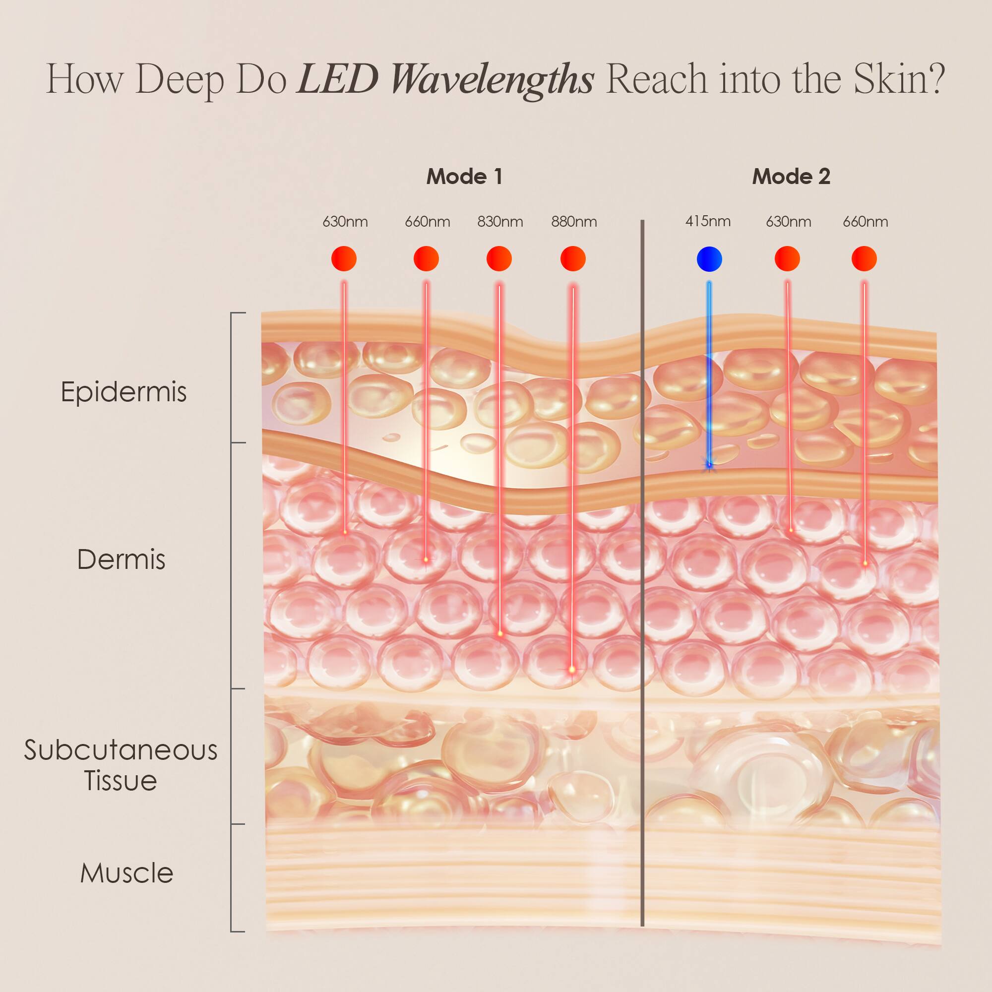 How Deep Do LED Wavelengths Reach into the Skin?

Mode 1
Mode 2
630nm
660nm
830nm
880nm
415nm
630nm
660nm

Epidermis
Dermis
Subcutaneous Tissue
Muscle