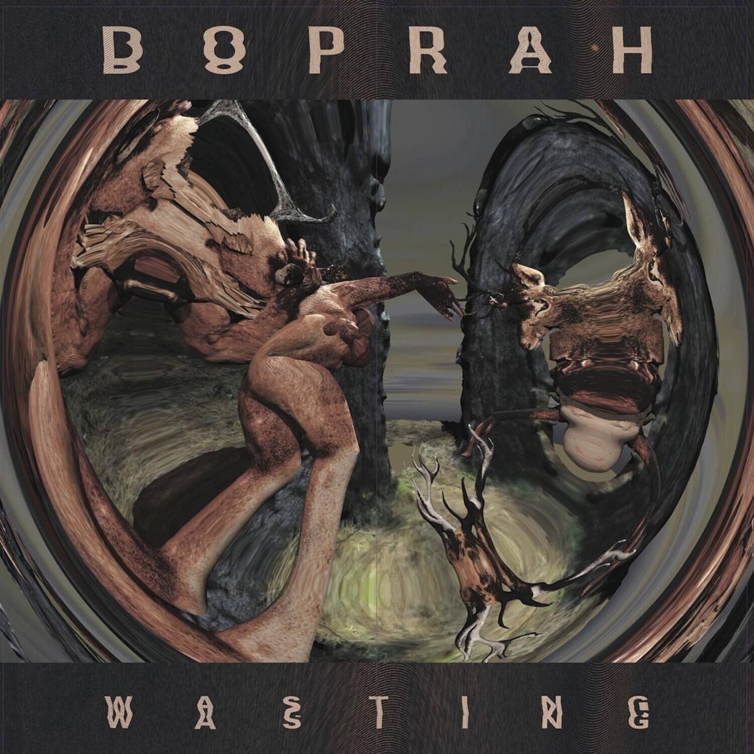 Doprah - Wasting   - VINYL LP price history on PriceWatchPro
