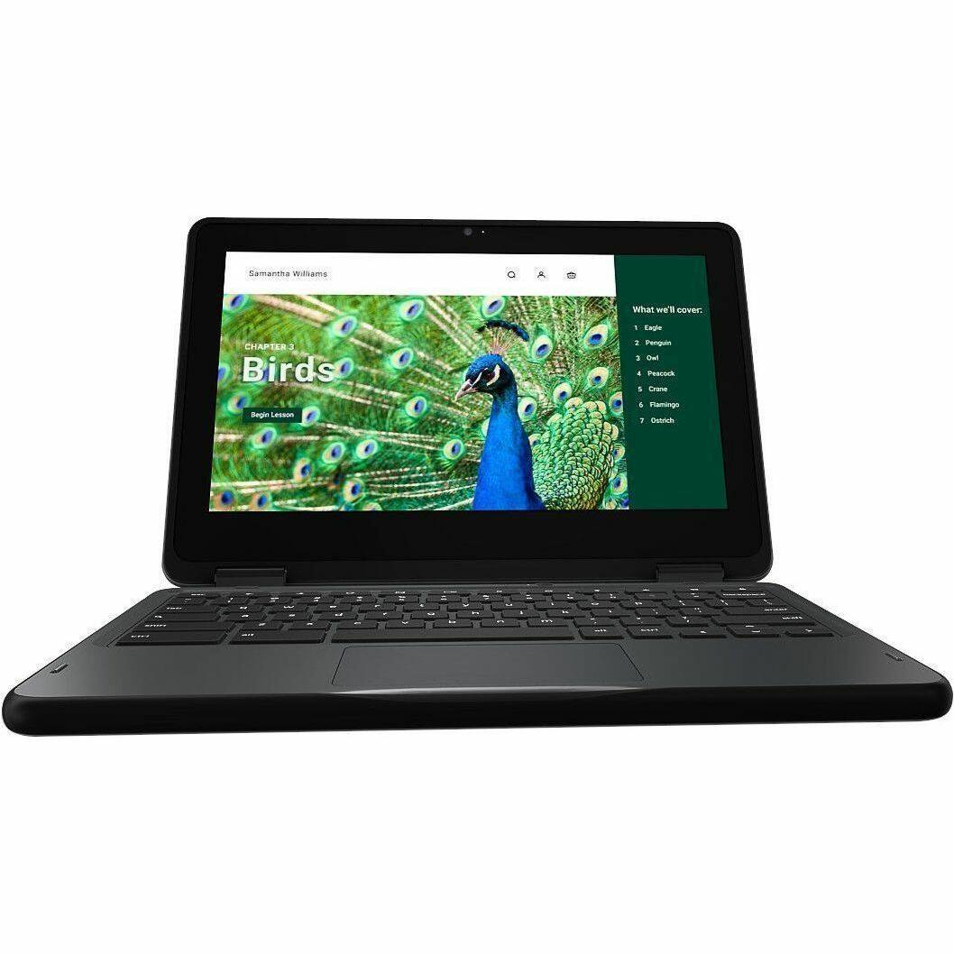 Samantha Williams

What we'll cover:
- Engle
- Penguin
- Owl
- Peacock
- Crane
- Flamingo
- Ostrich