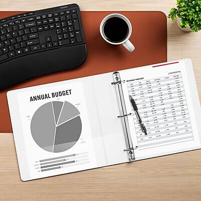 ANNUAL BUDGET