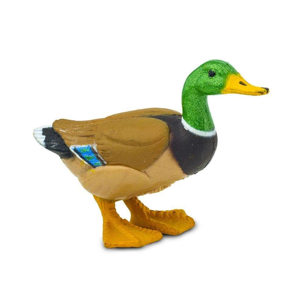 Back. Safari Ltd. - Duck Toy Figurine.