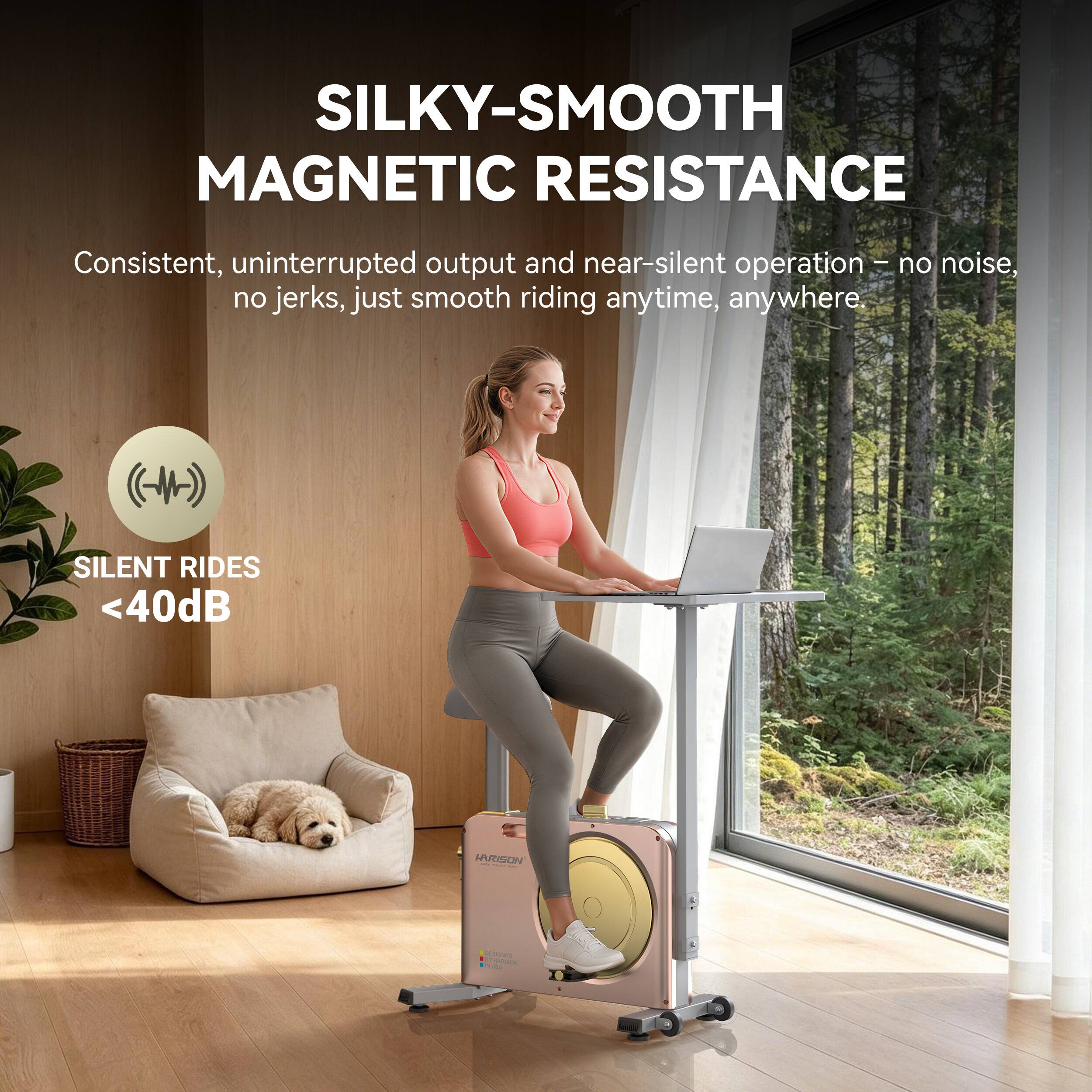 SILKY-SMOOTH MAGNETIC RESISTANCE

Consistent, uninterrupted output and near-silent operation – no noise, no jerks, just smooth riding anytime, anywhere.

SILENT RIDES <40dB