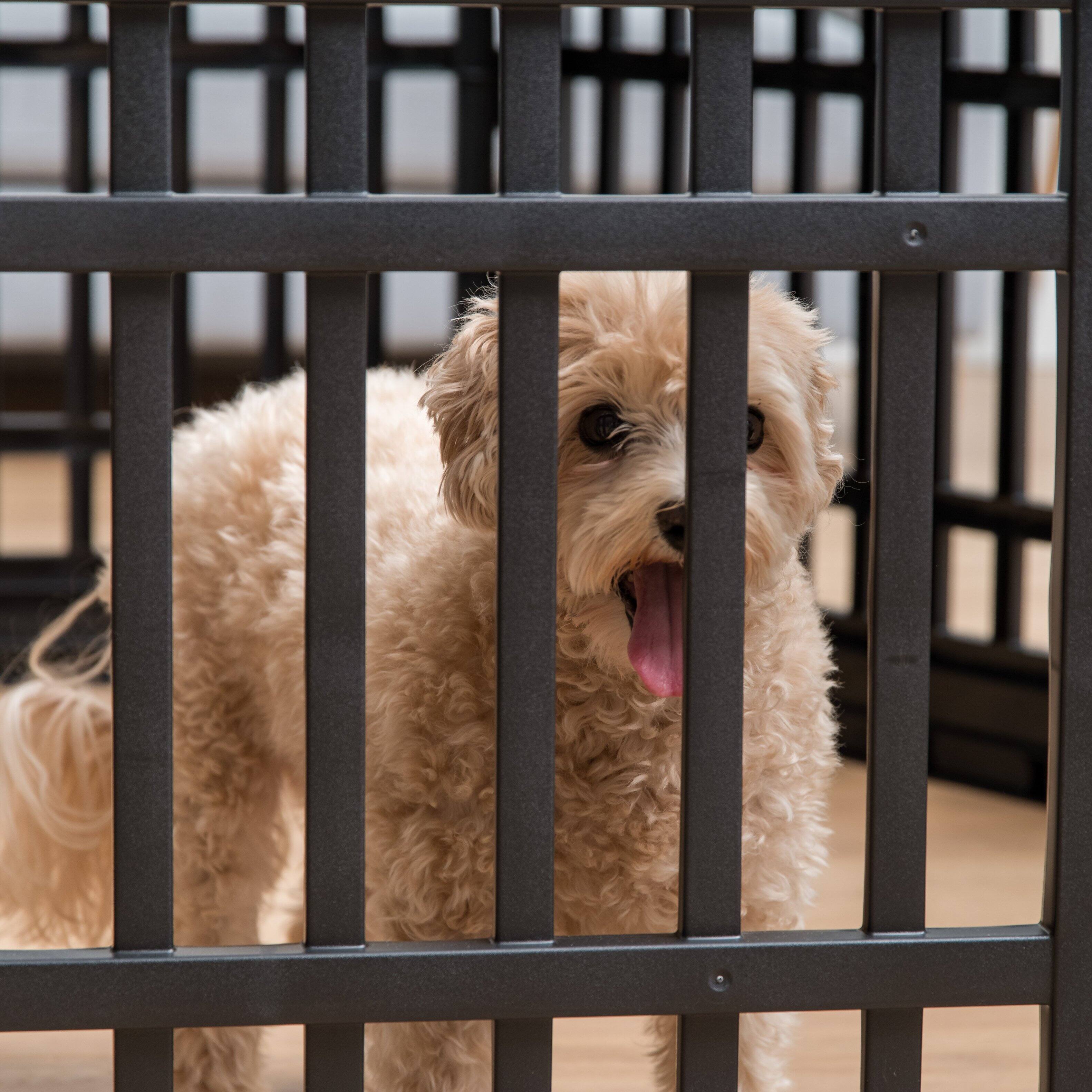 Alt View 6. IRIS USA - IRIS 4-10 Panel 24/34"H Folding Exercise Enclosure Plastic Pet Playpen with Door.
