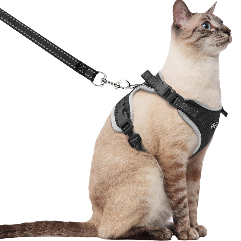 Supet - Cat Harness & Leash - Black price history on PriceWatchPro