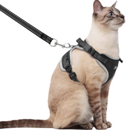 Supet - Cat Harness & Leash - Black