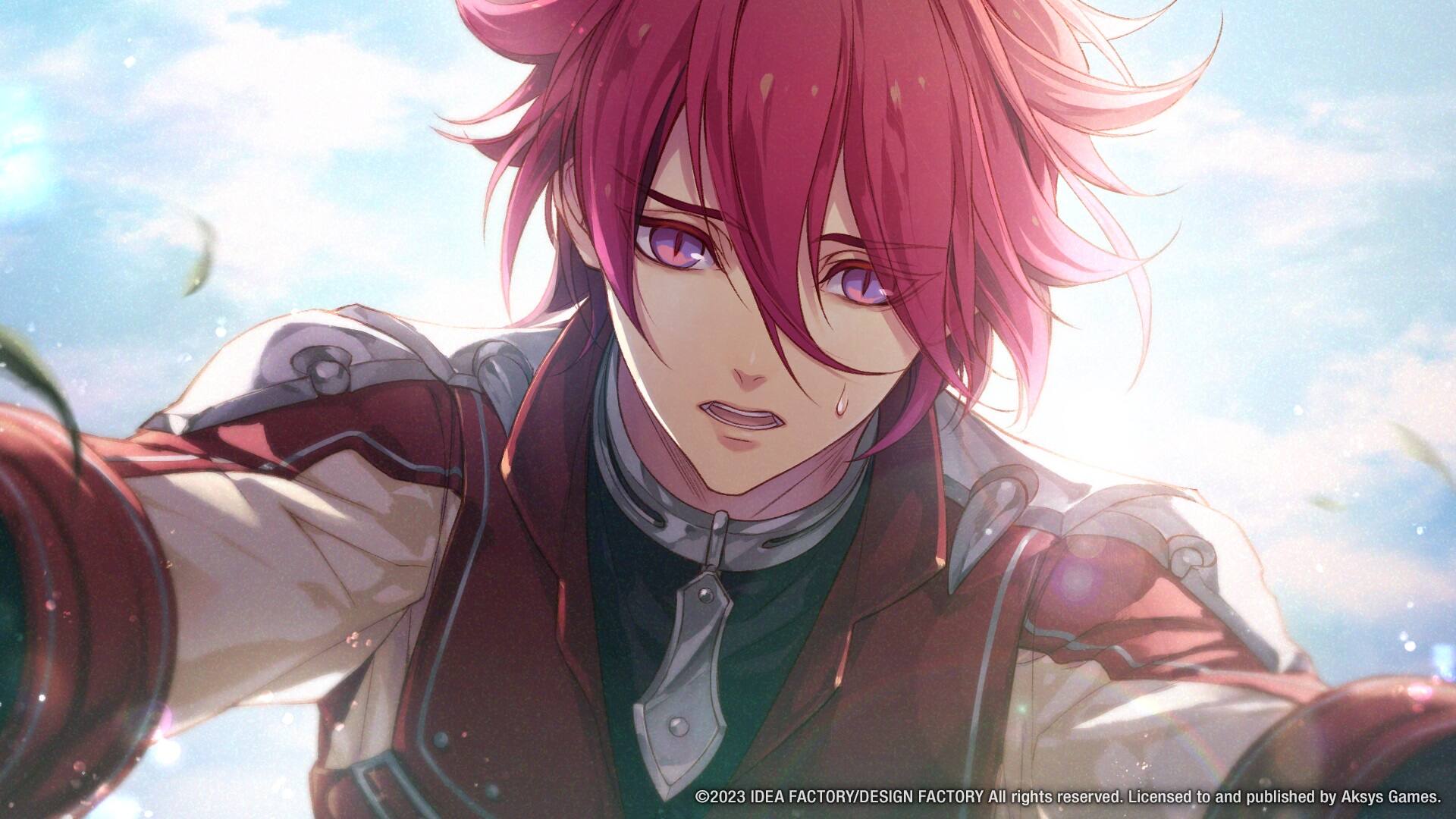 Alt View 12. Aksys Games - Radiant Tale.