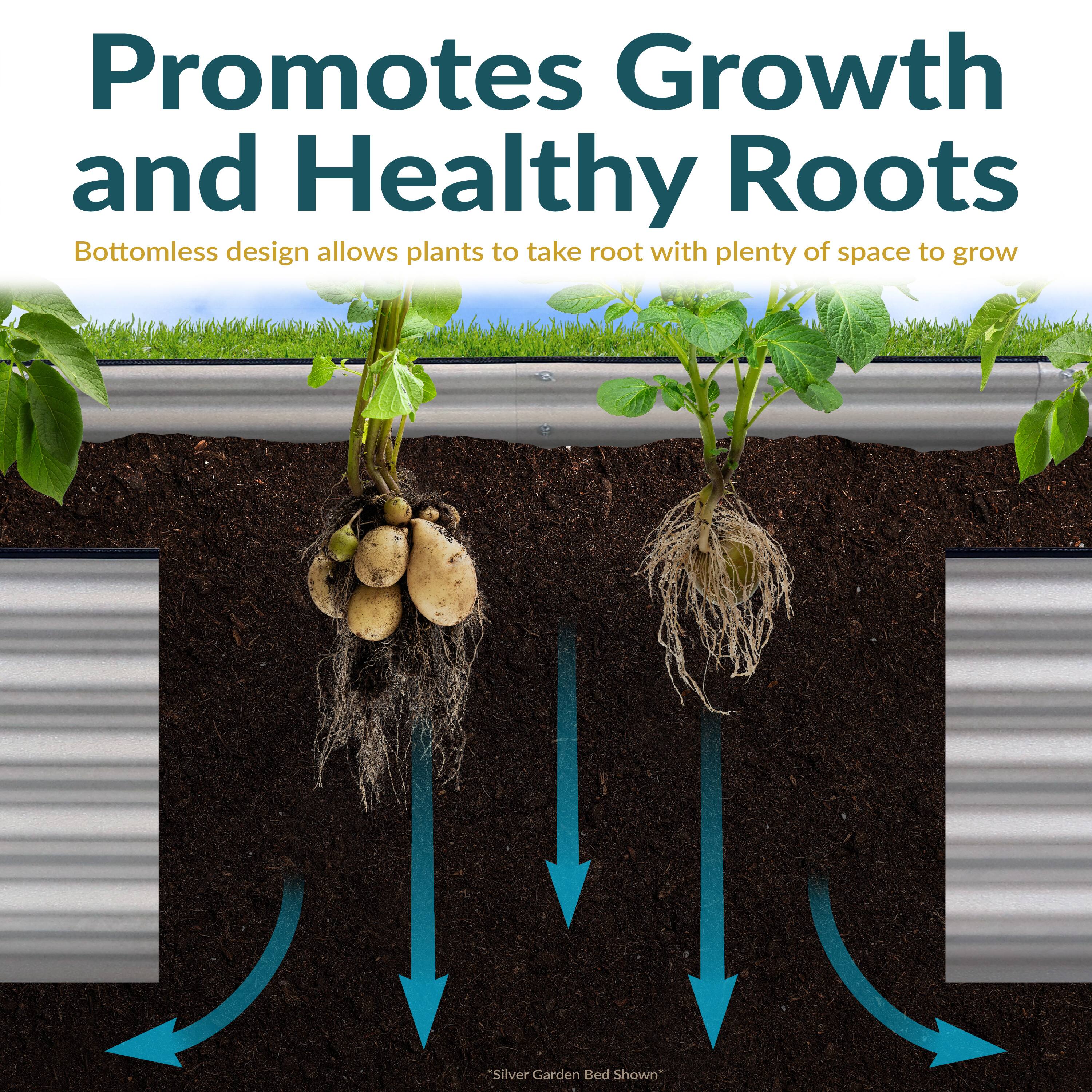 Promotes Growth and Healthy Roots

Bottomless design allows plants to take root with plenty of space to grow

*Silver Garden Bed Shown*