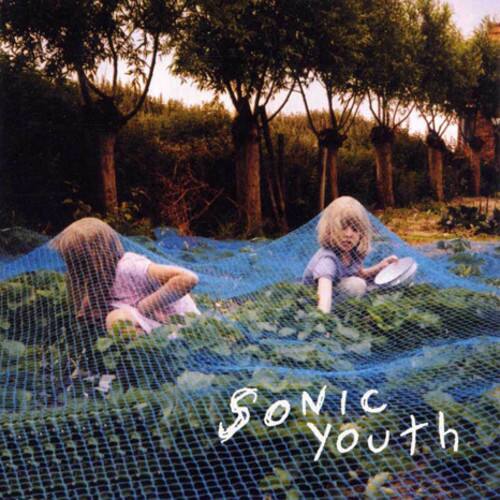 Sonic Youth - Murray Street   - VINYL LP price history on PriceWatchPro
