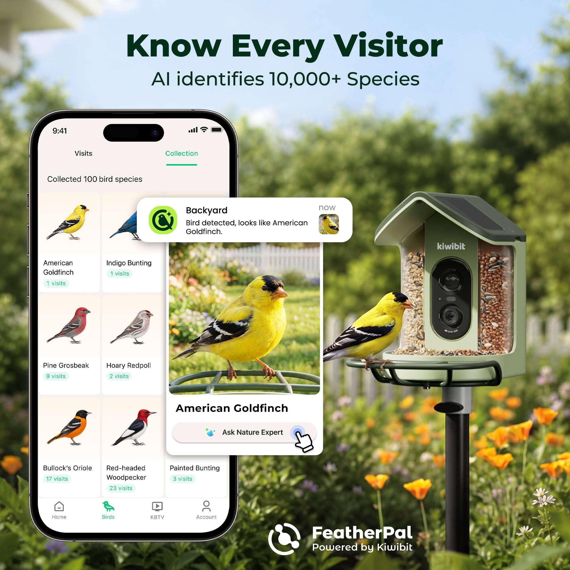 Know Every Visitor  
AI identifies 10,000+ Species  

9:41  
Visits Collection  
Collected 100 bird species now  

Backyard  
Bird detected, looks like American Goldfinch.  

American Goldfinch  
1 visit  

Indigo Bunting  
1 visit  

Pine Grosbeak  
9 visits  

Hoary Redpoll  
2 visits  

Bullock's Oriole  
17 visits  

Red-headed Woodpecker  
23 visits  

Painted Bunting  
3 visits  

Ask Nature Expert  

Home  
Birds  
KBTV  
Account  

FeatherPal  
Powered by Kiwibit