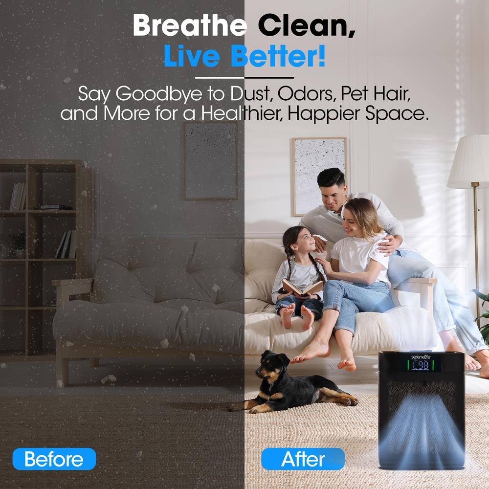 Breathe Clean, Live Better!  
Say Goodbye to Dust, Odors, Pet Hair, and More for a Healthier, Happier Space.  

Before  
After
