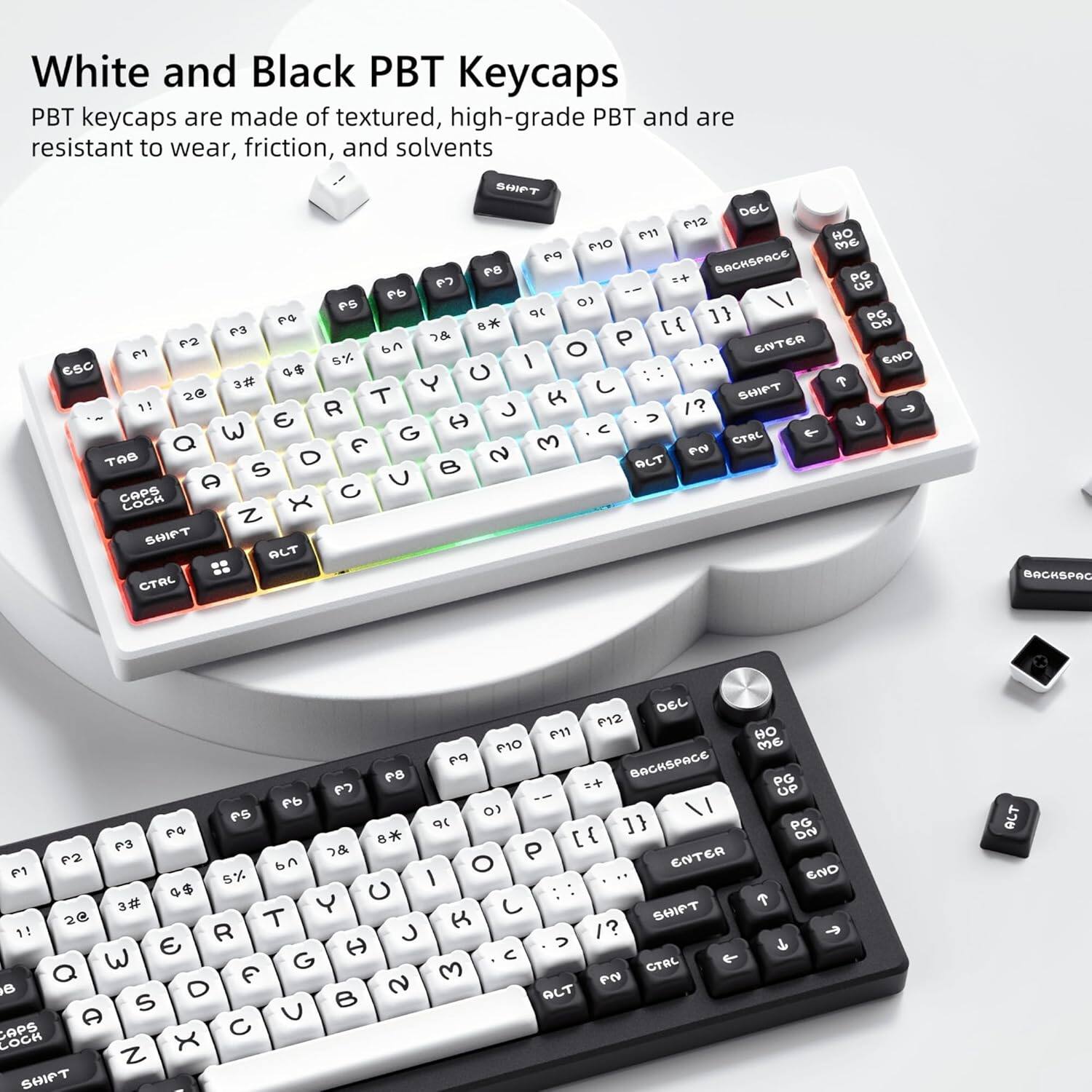 White and Black PBT Keycaps

PBT keycaps are made of textured, high-grade PBT and are resistant to wear, friction, and solvents.