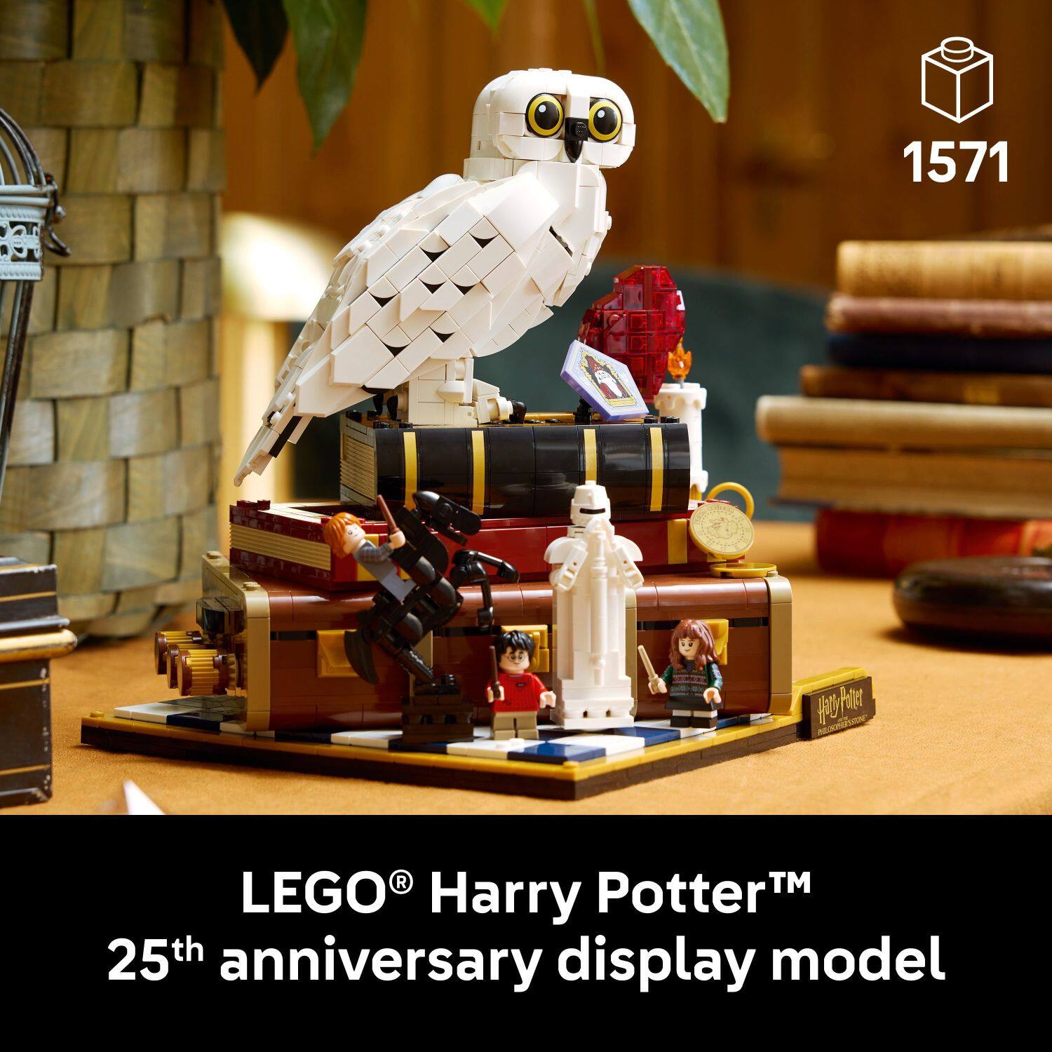 1571  
LEGO® Harry Potter™  
25th anniversary display model