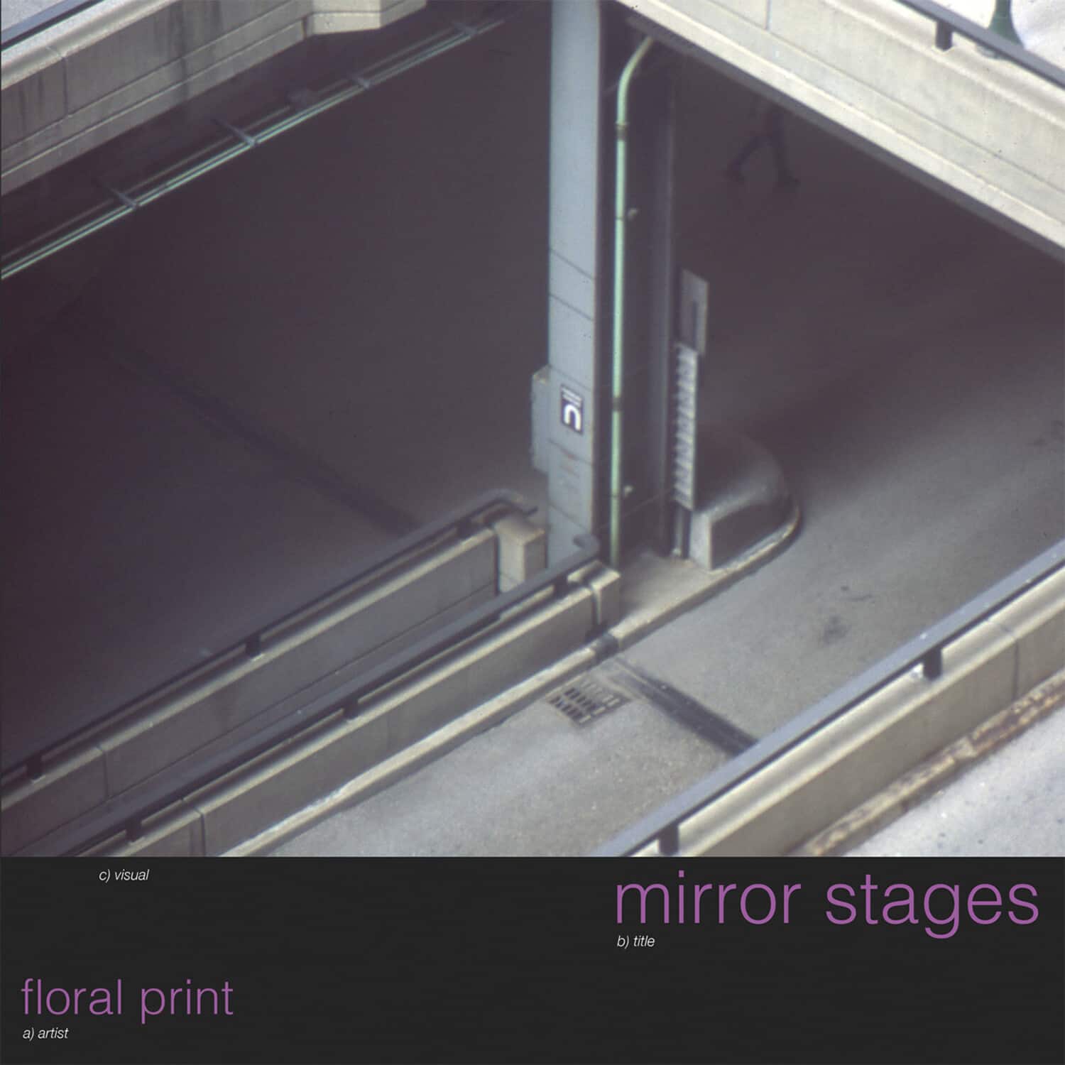 Floral Print - Mirror Stages   - 12-INCH SINGLE [12 inch Vinyl Single] price history on PriceWatchPro