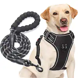 Black Harness+Leash-X-Large