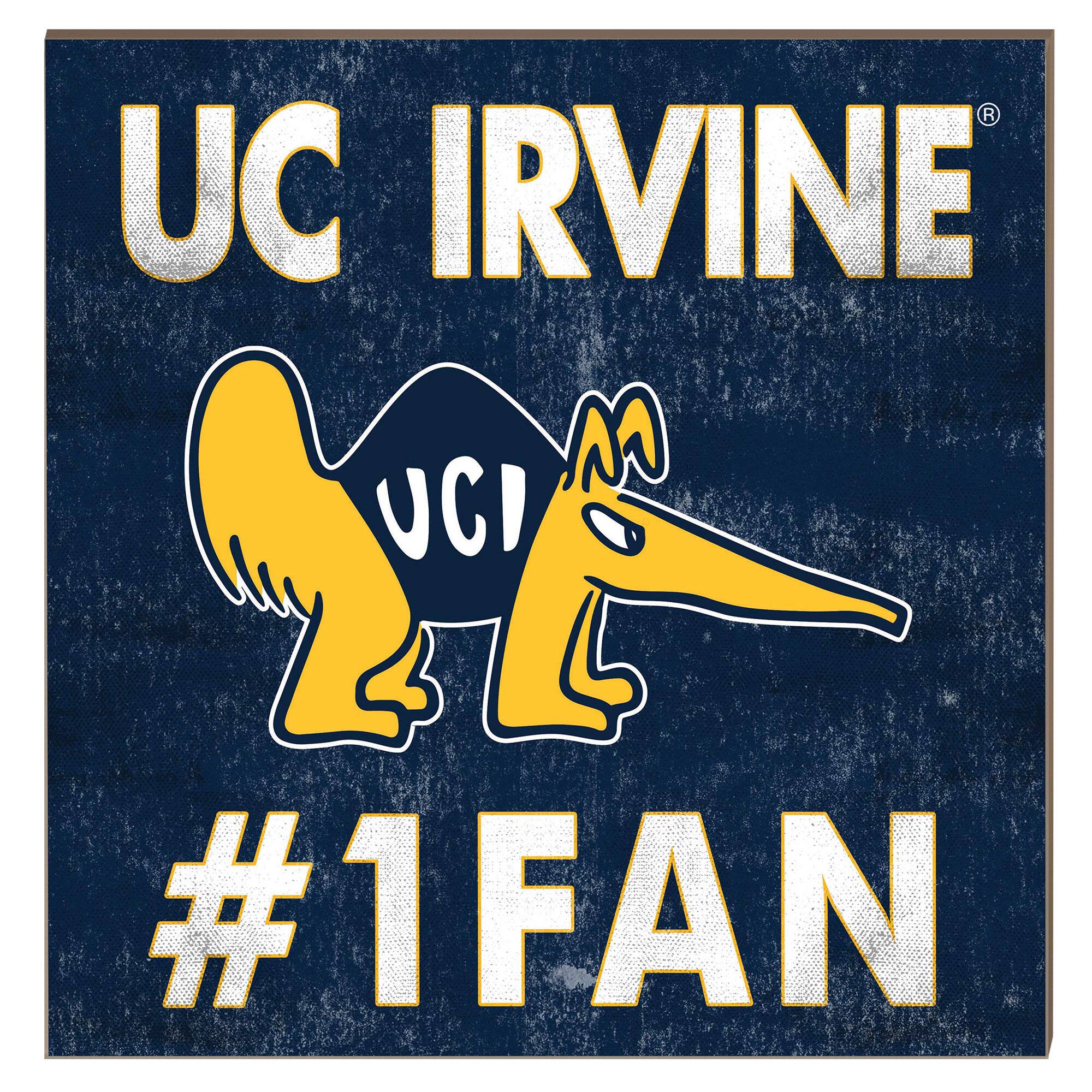 UC Irvine Anteaters 10" x 10" #1 Fan Plaque