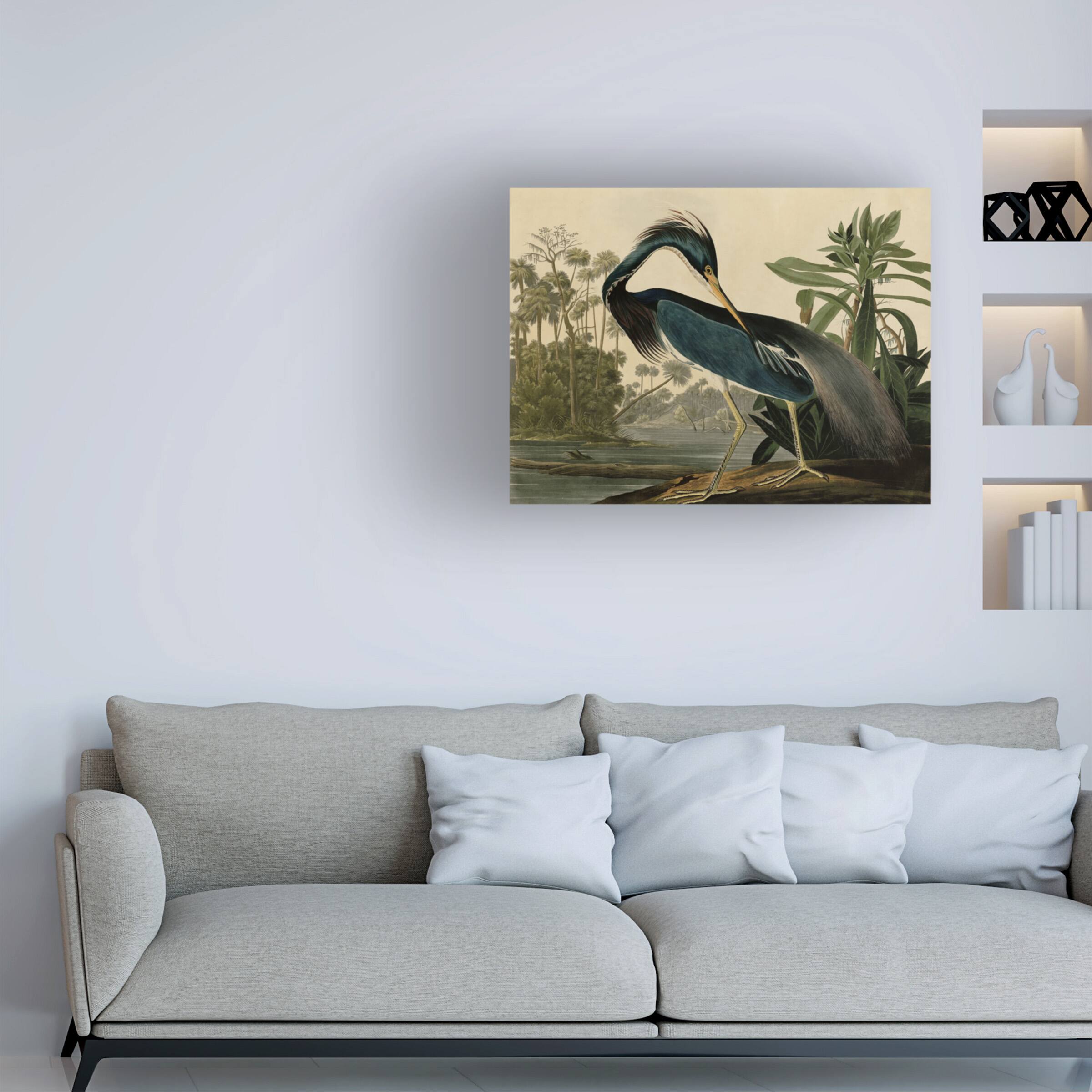 Angle. Trademark Fine Art - John James Audubon 'Louisiana Heron' Canvas Art - Multicolor.