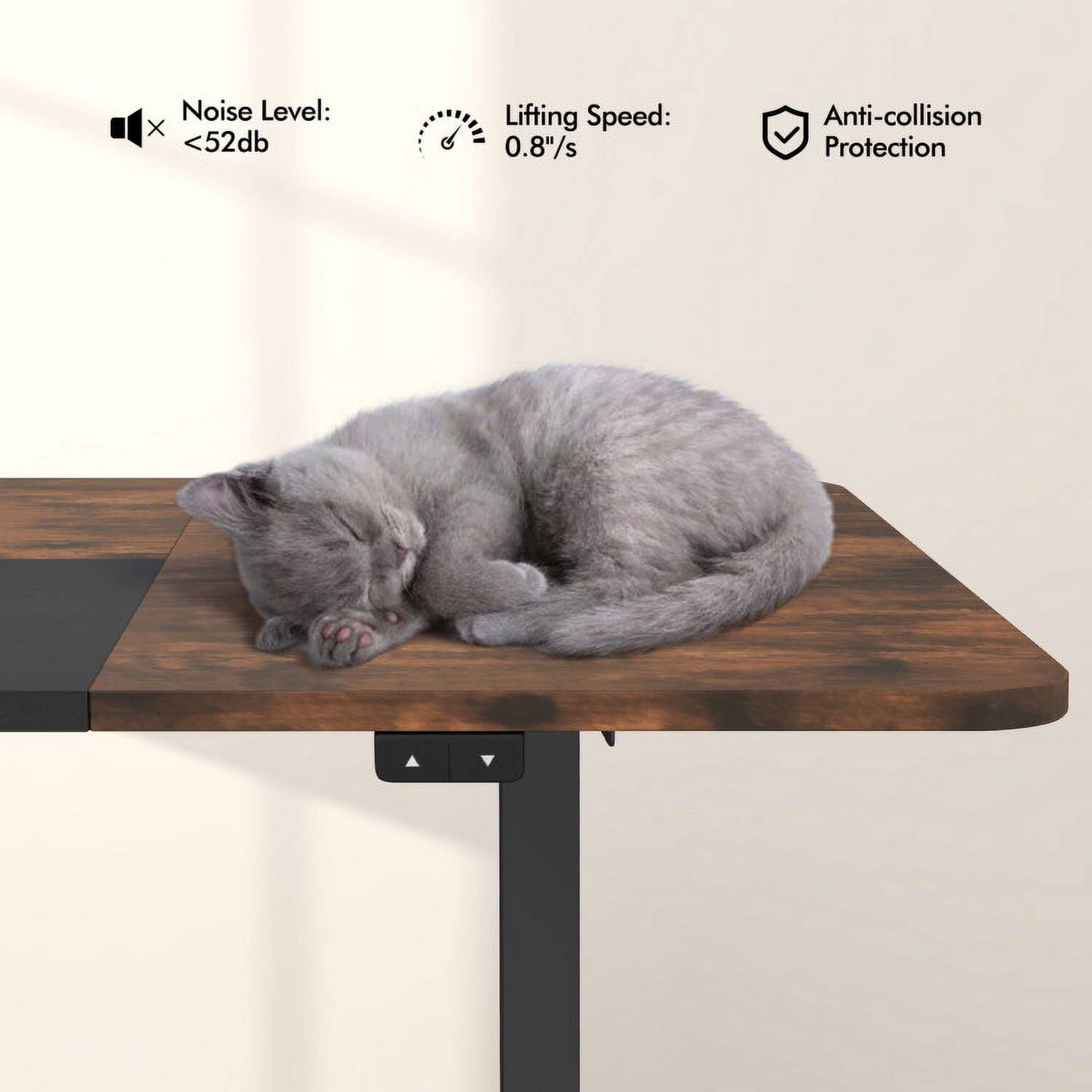 Noise Level: <52db  
Lifting Speed: 0.8" /s  
Anti-collision Protection