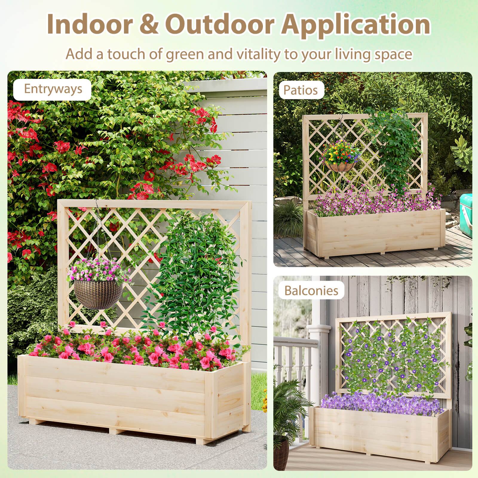 Indoor & Outdoor Application  
Add a touch of green and vitality to your living space  

Entryways  
Patio  
Balconies